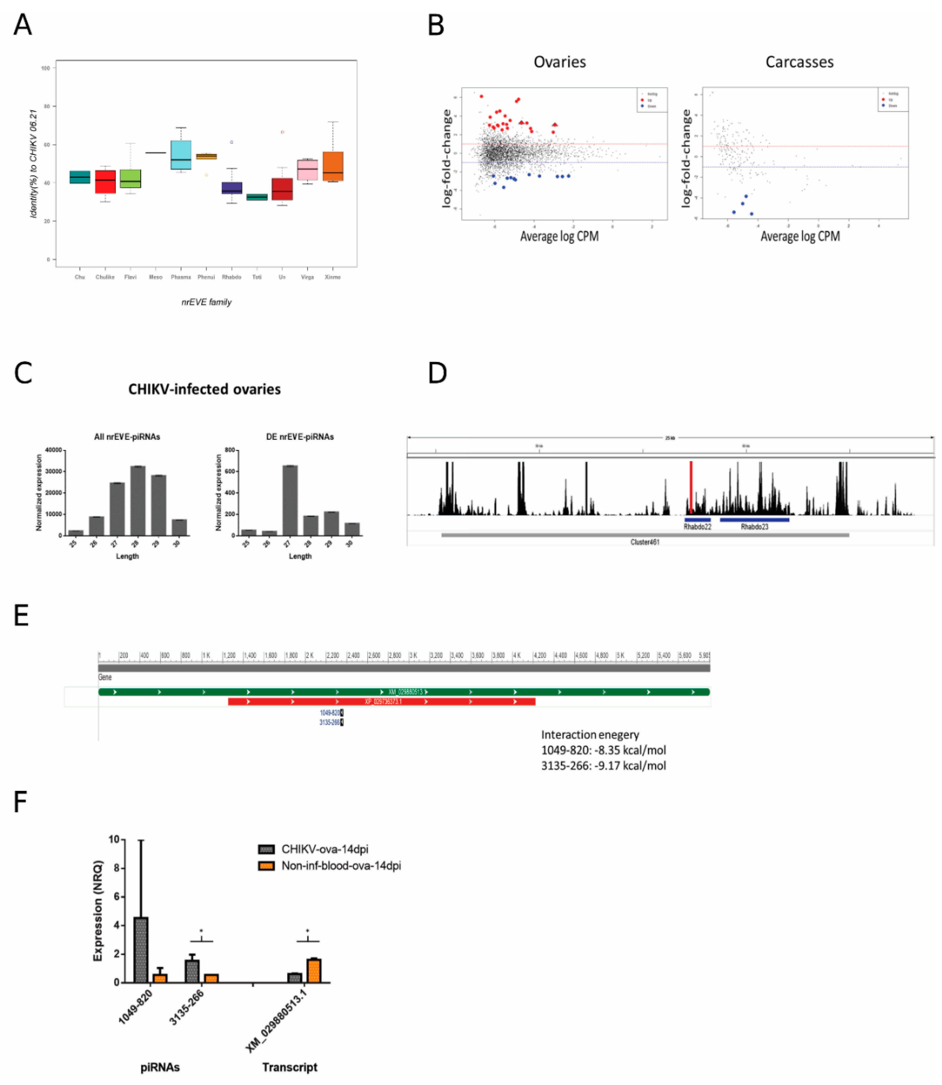 Viruses 13 00553 g005 Viruses 13 00553 g005