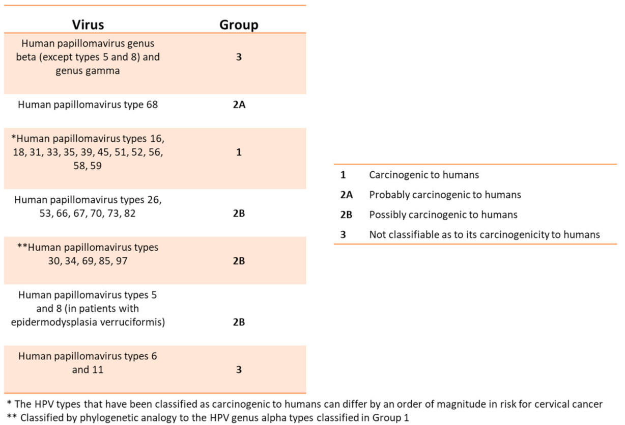 human papillomaviruses agents