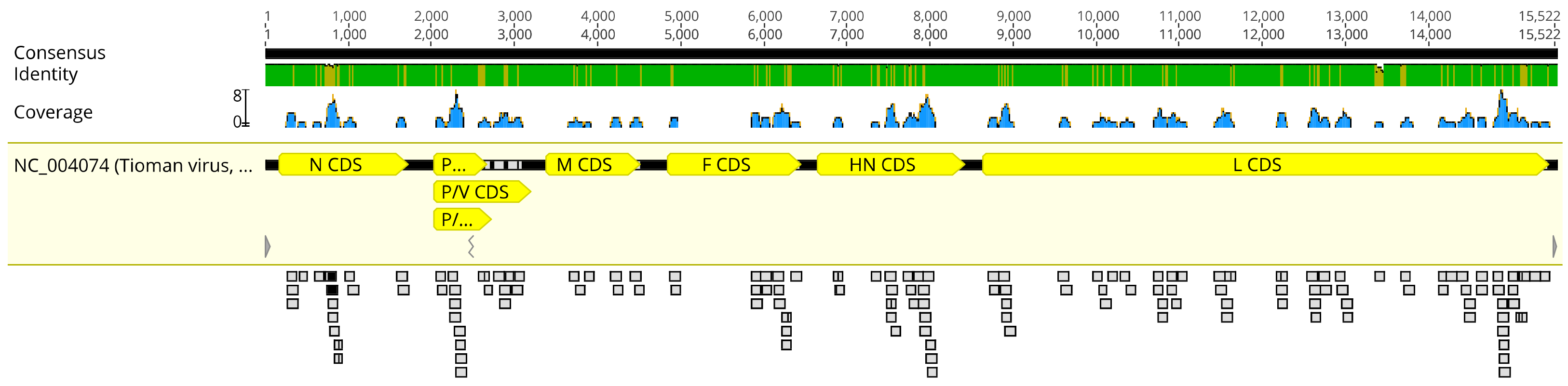 Viruses 13 00563 g002 Viruses 13 00563 g002