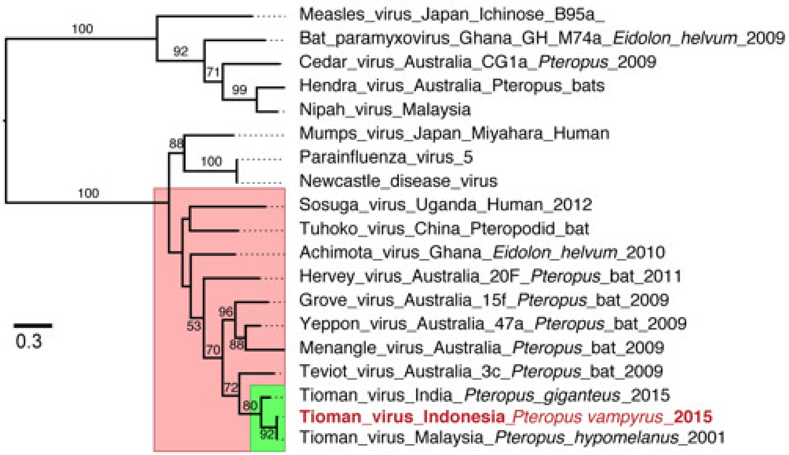 Viruses 13 00563 g003 Viruses 13 00563 g003