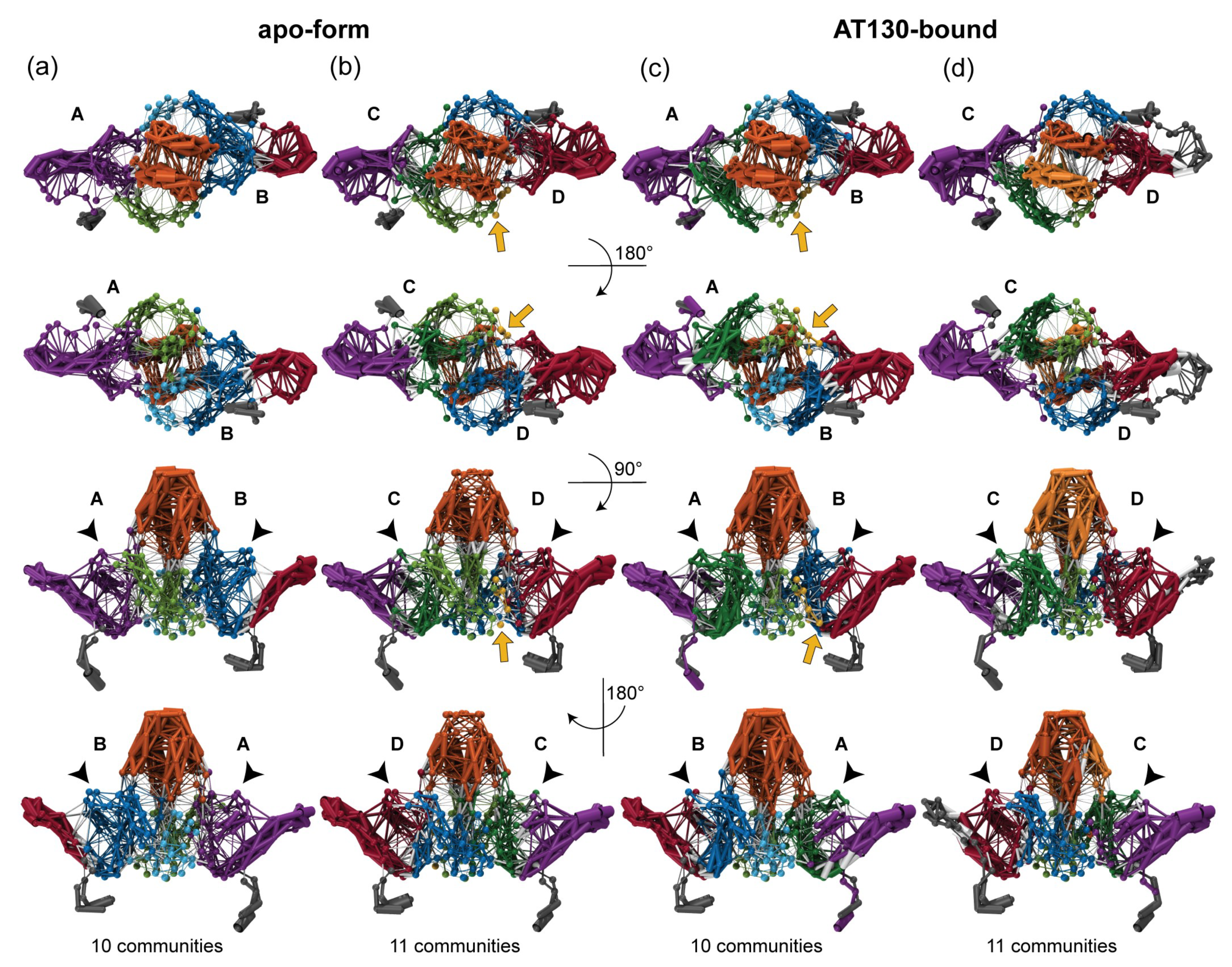 Viruses 13 00564 g004 Viruses 13 00564 g004
