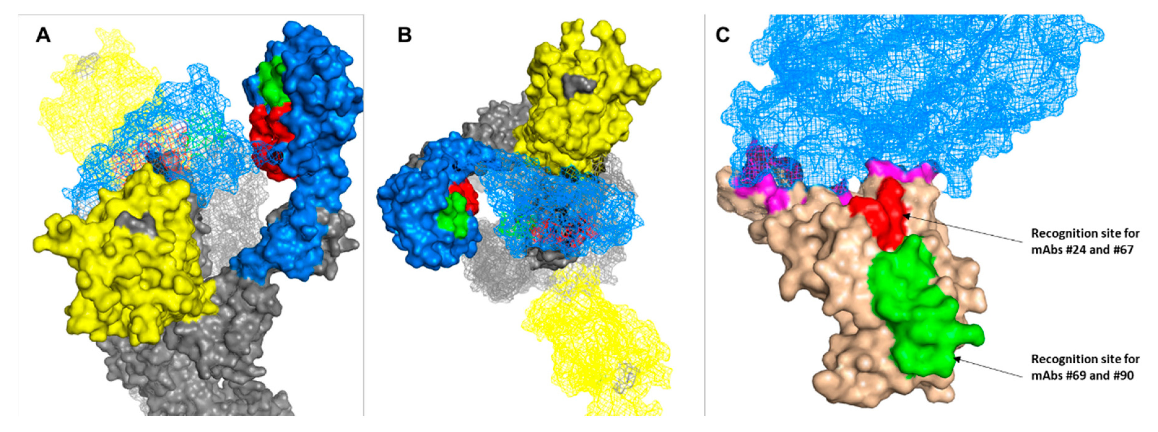 Viruses 13 00566 g007 Viruses 13 00566 g007