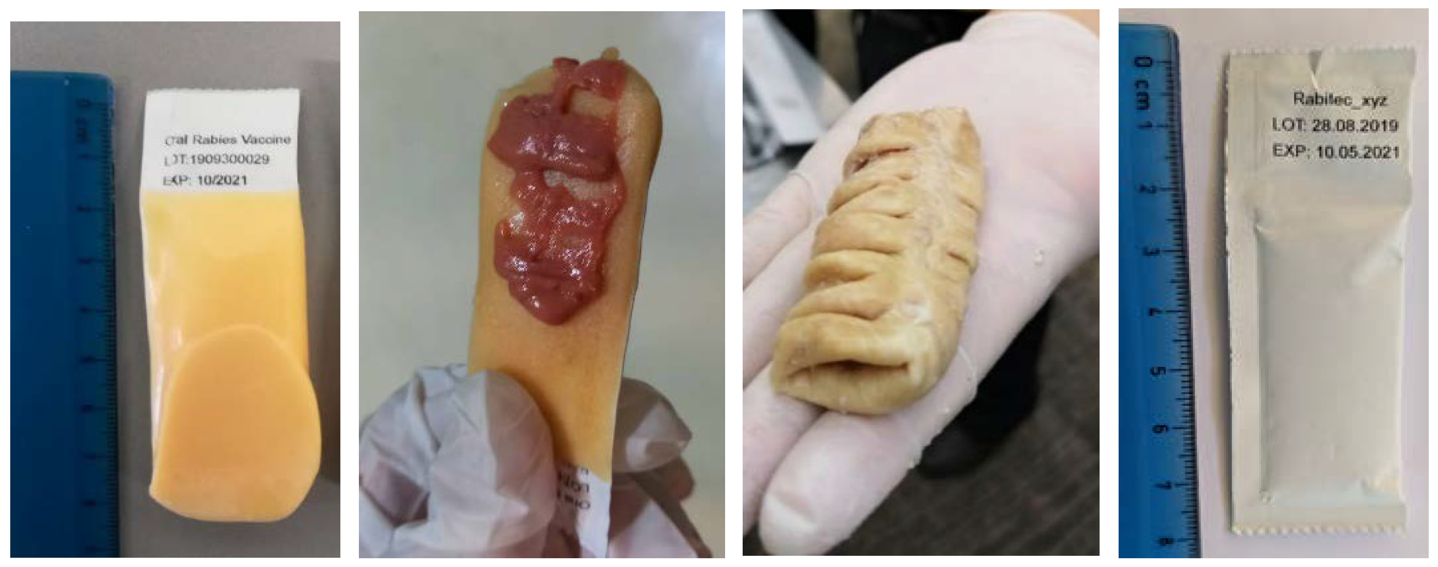 Viruses 13 00571 g002