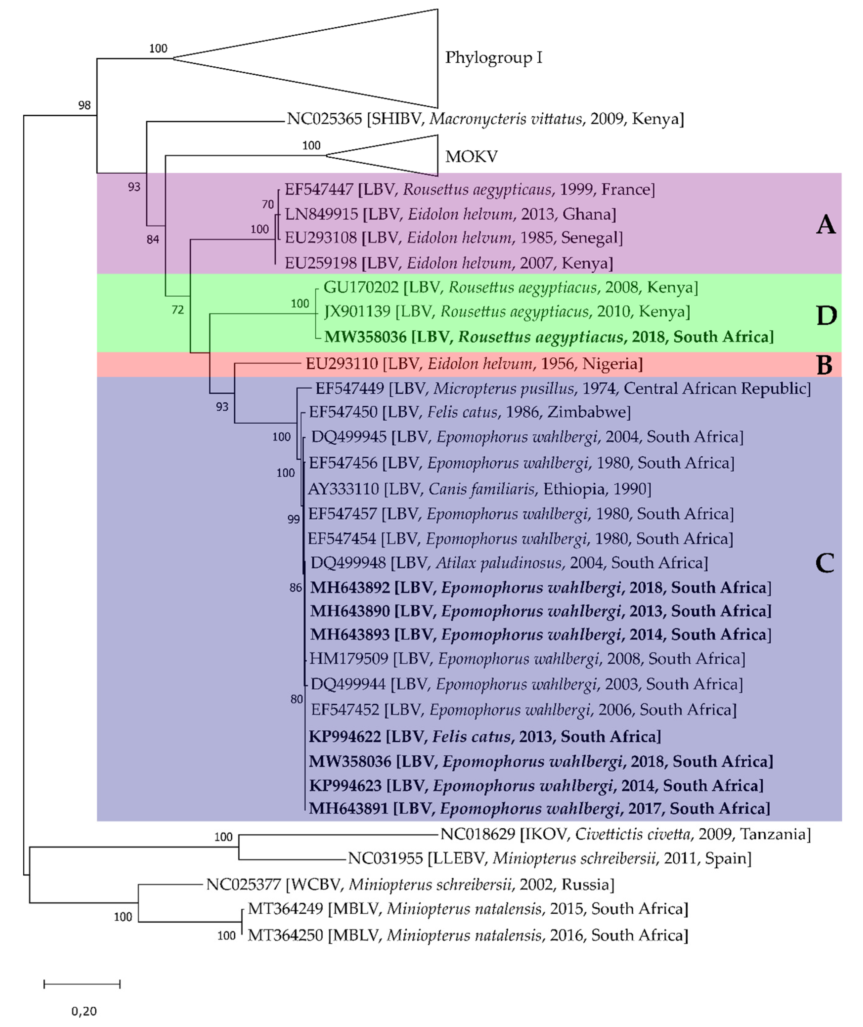Viruses 13 00576 g004