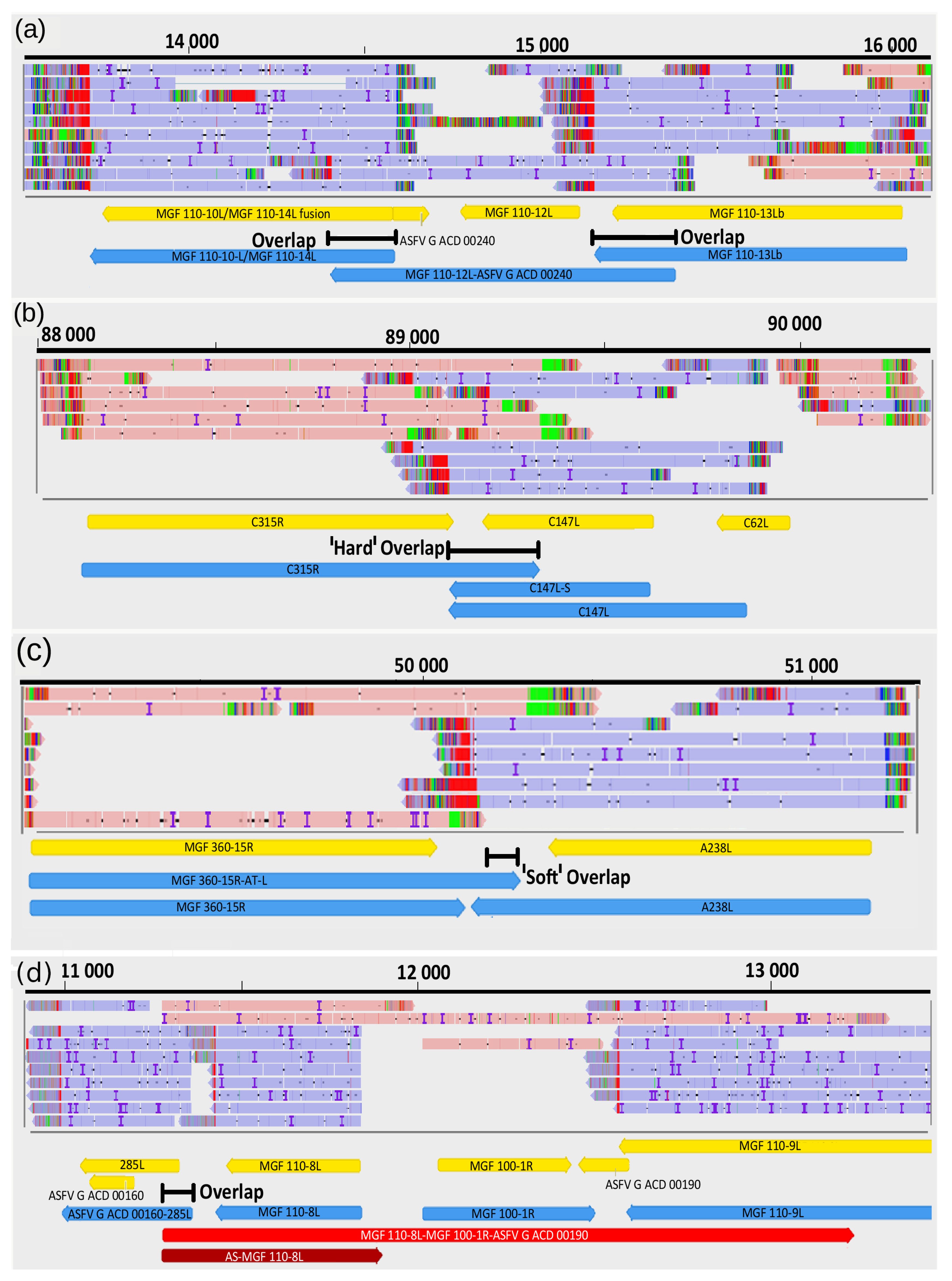 Viruses 13 00579 g005 Viruses 13 00579 g005