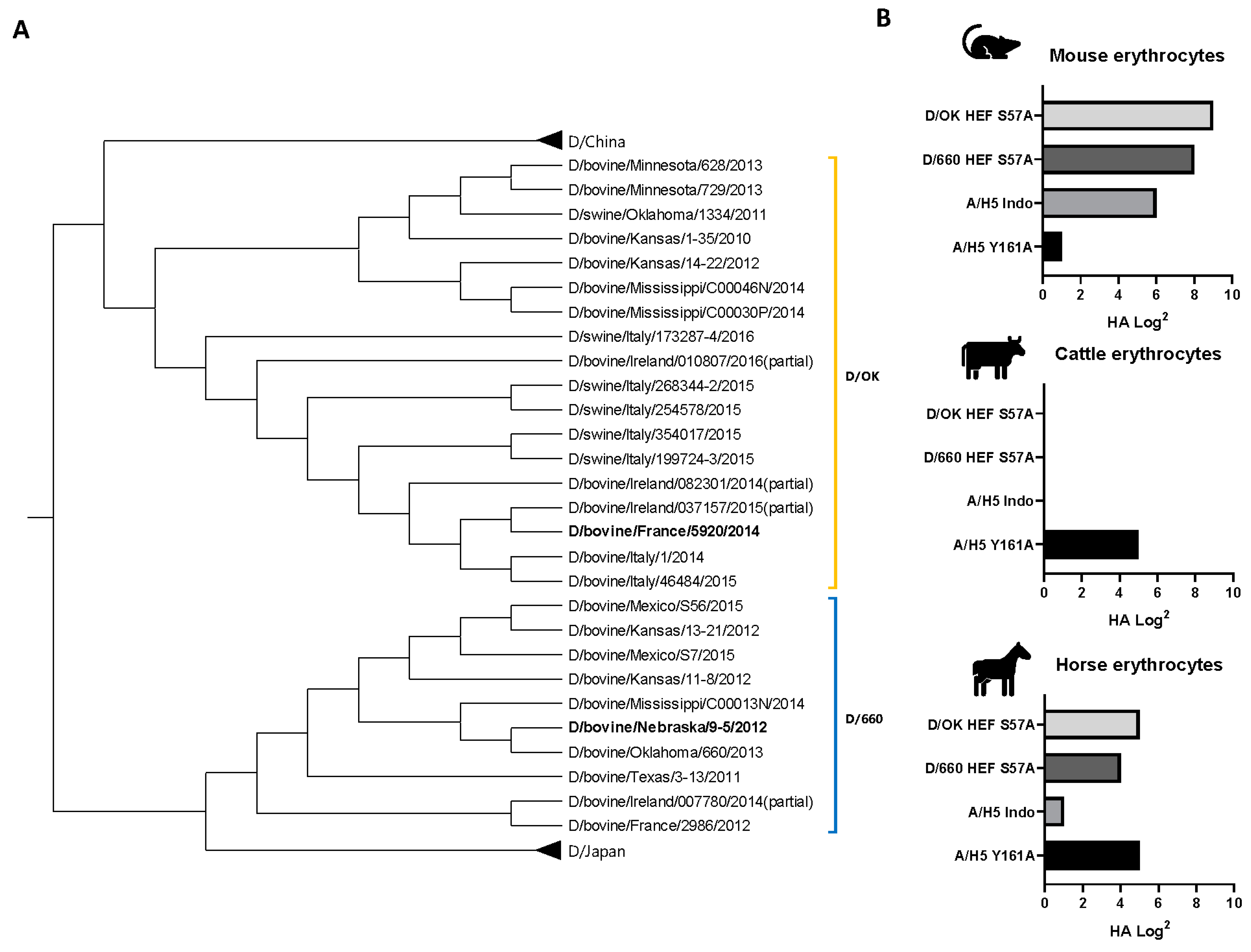 Viruses 13 00586 g002 Viruses 13 00586 g002