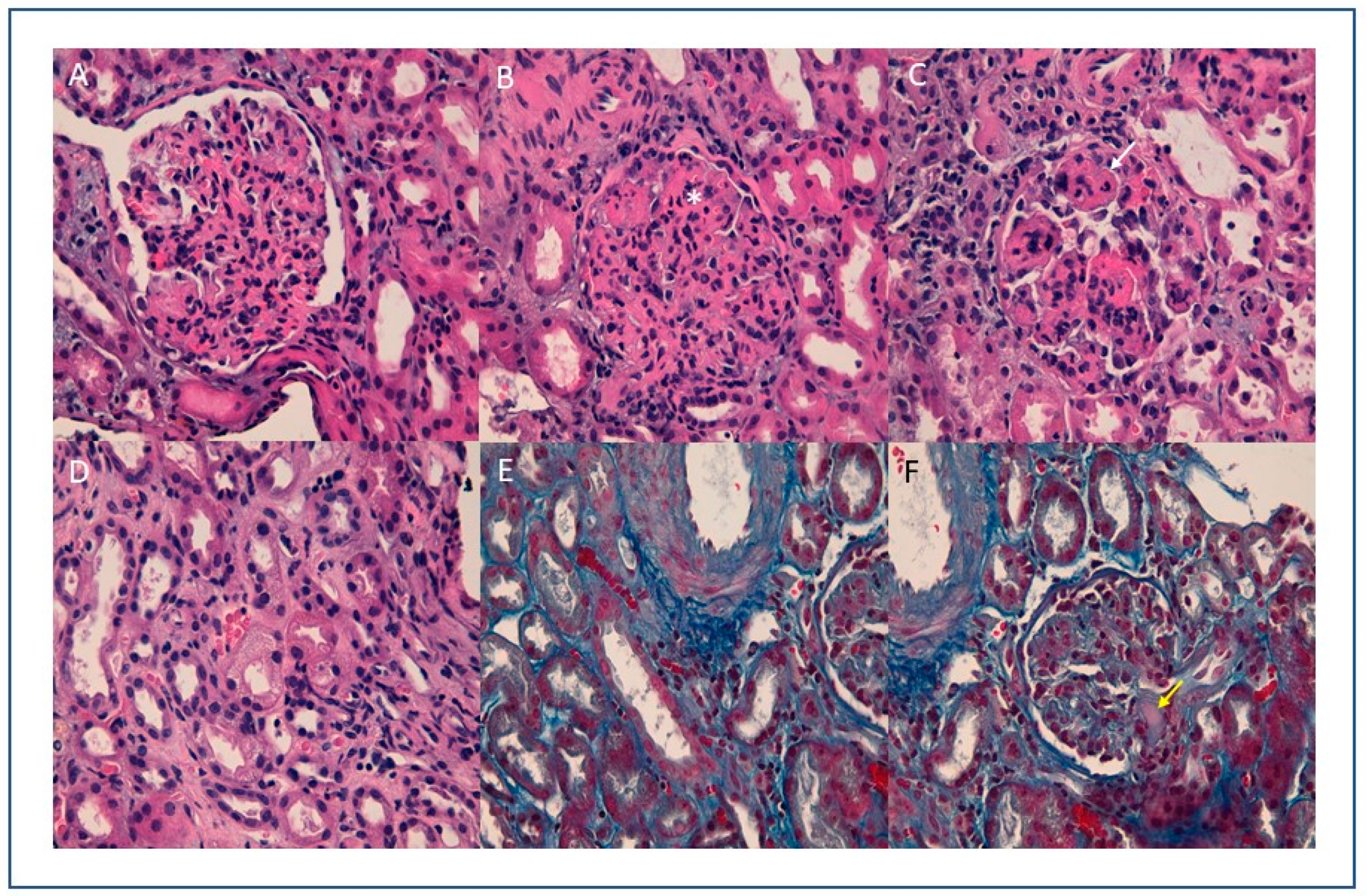 Viruses 13 00587 g001