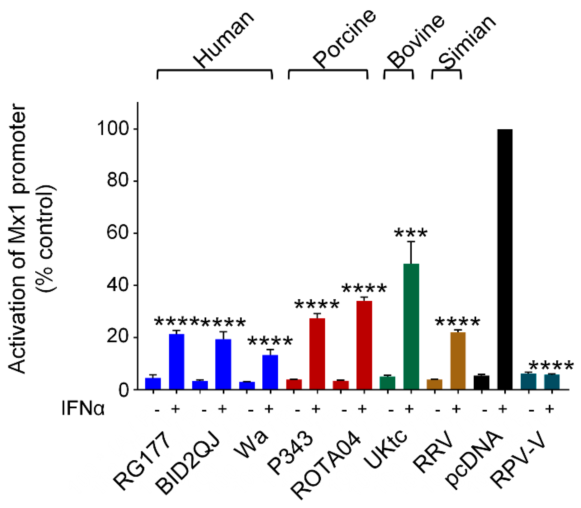 Viruses 13 00589 g006 Viruses 13 00589 g006