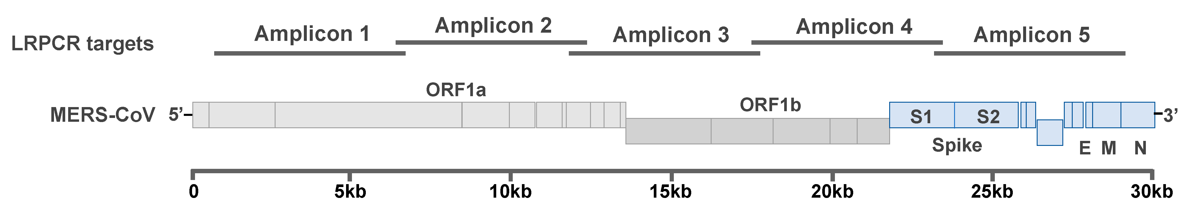 Viruses 13 00592 g001 Viruses 13 00592 g001