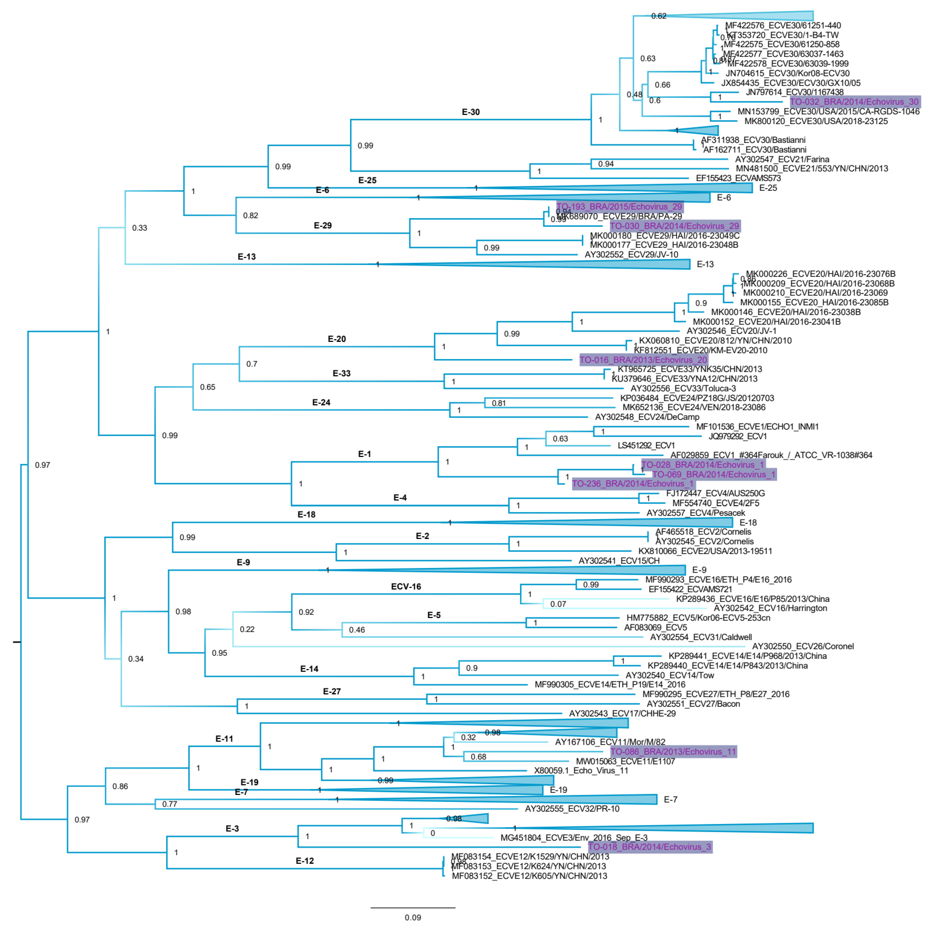 Viruses 13 00595 g002