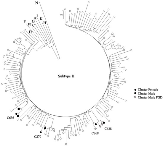 Viruses Free Full Text Phylogenetic Clustering Among Asylum Seekers With New Hiv 1 Diagnoses In Montreal Qc Canada Viruses Free Full Text Phylogenetic Clustering Among Asylum Seekers With New Hiv 1 Diagnoses In Montreal Qc Canada
