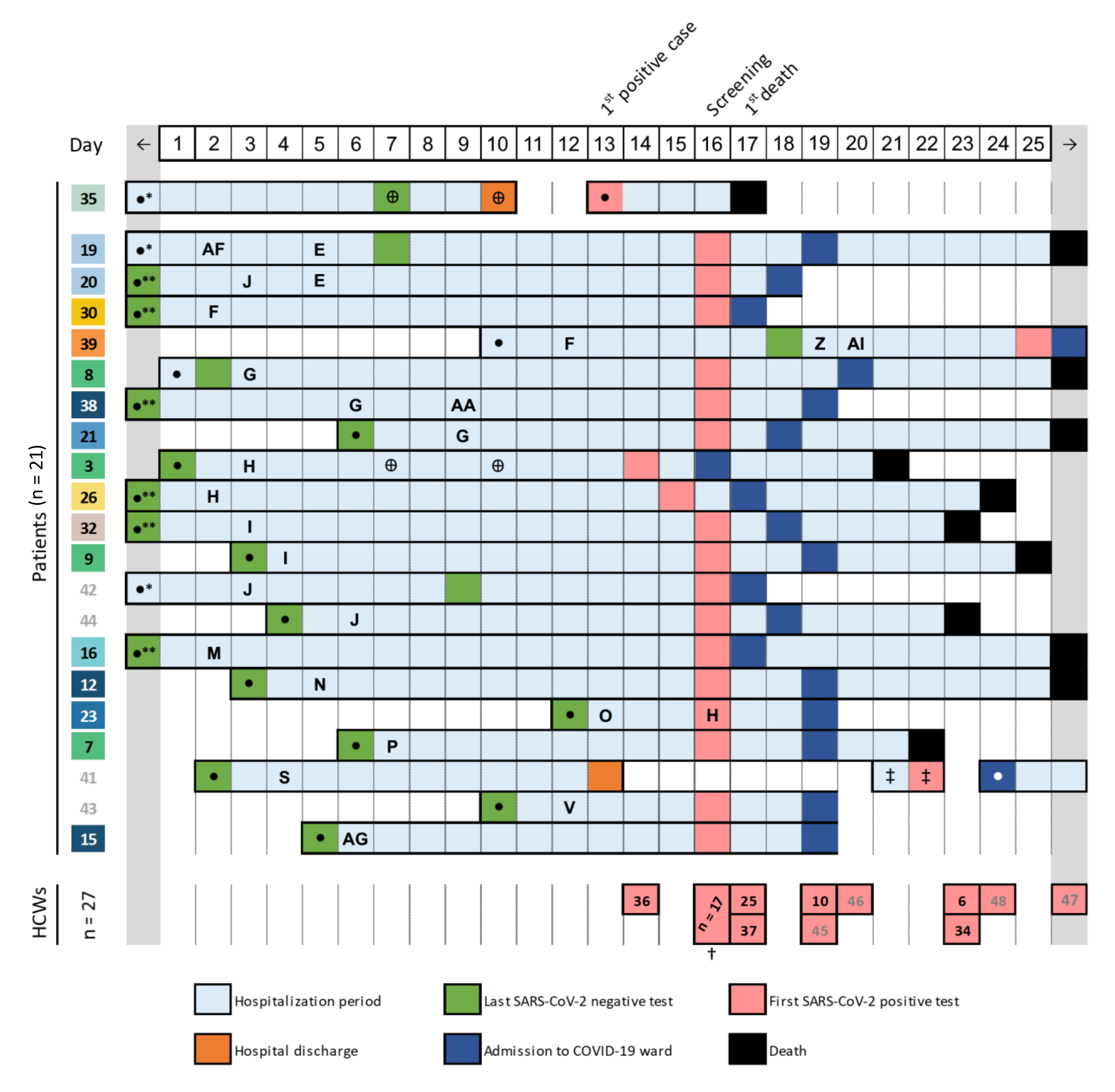 Viruses 13 00604 g001
