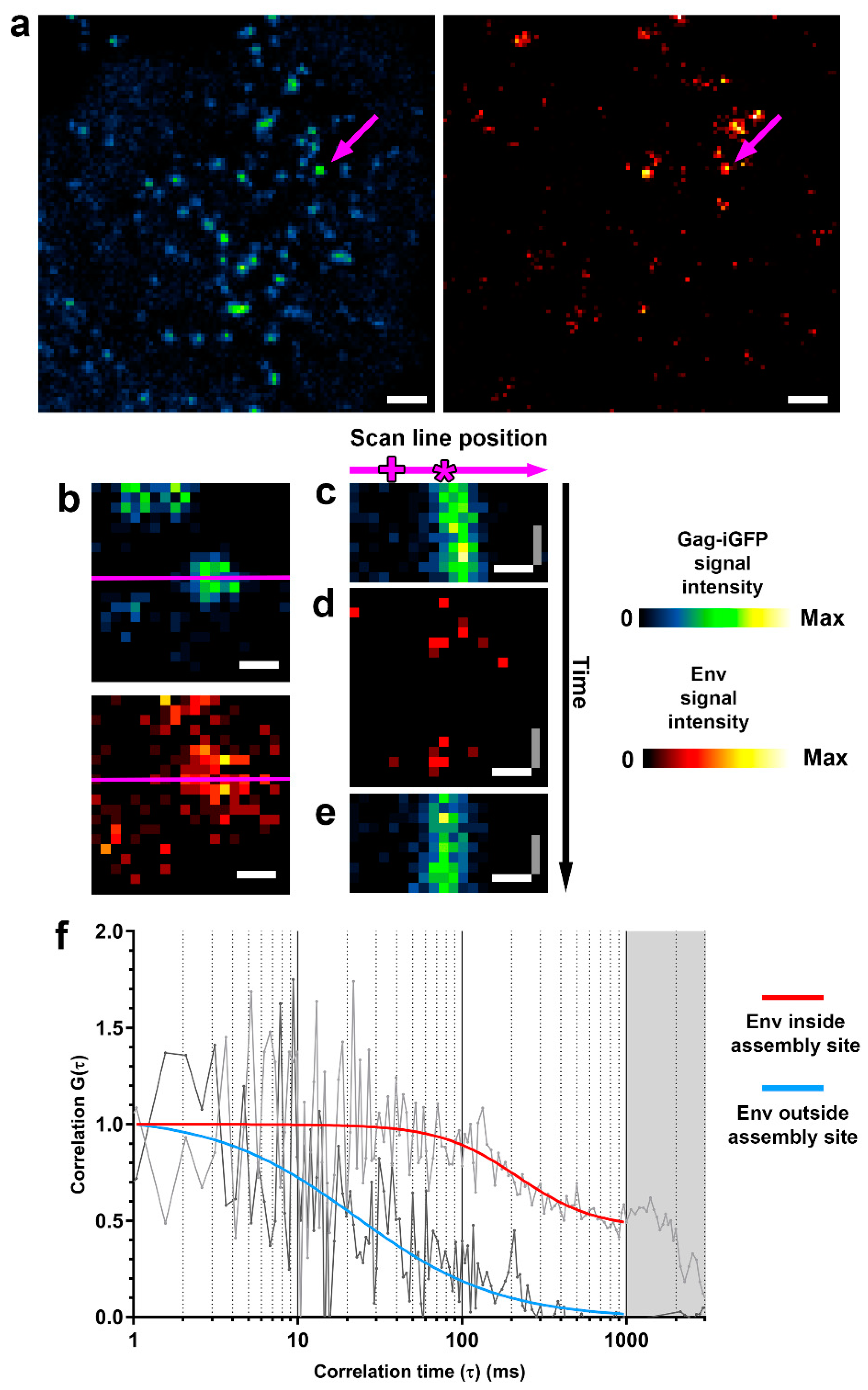 Viruses 13 00608 g002