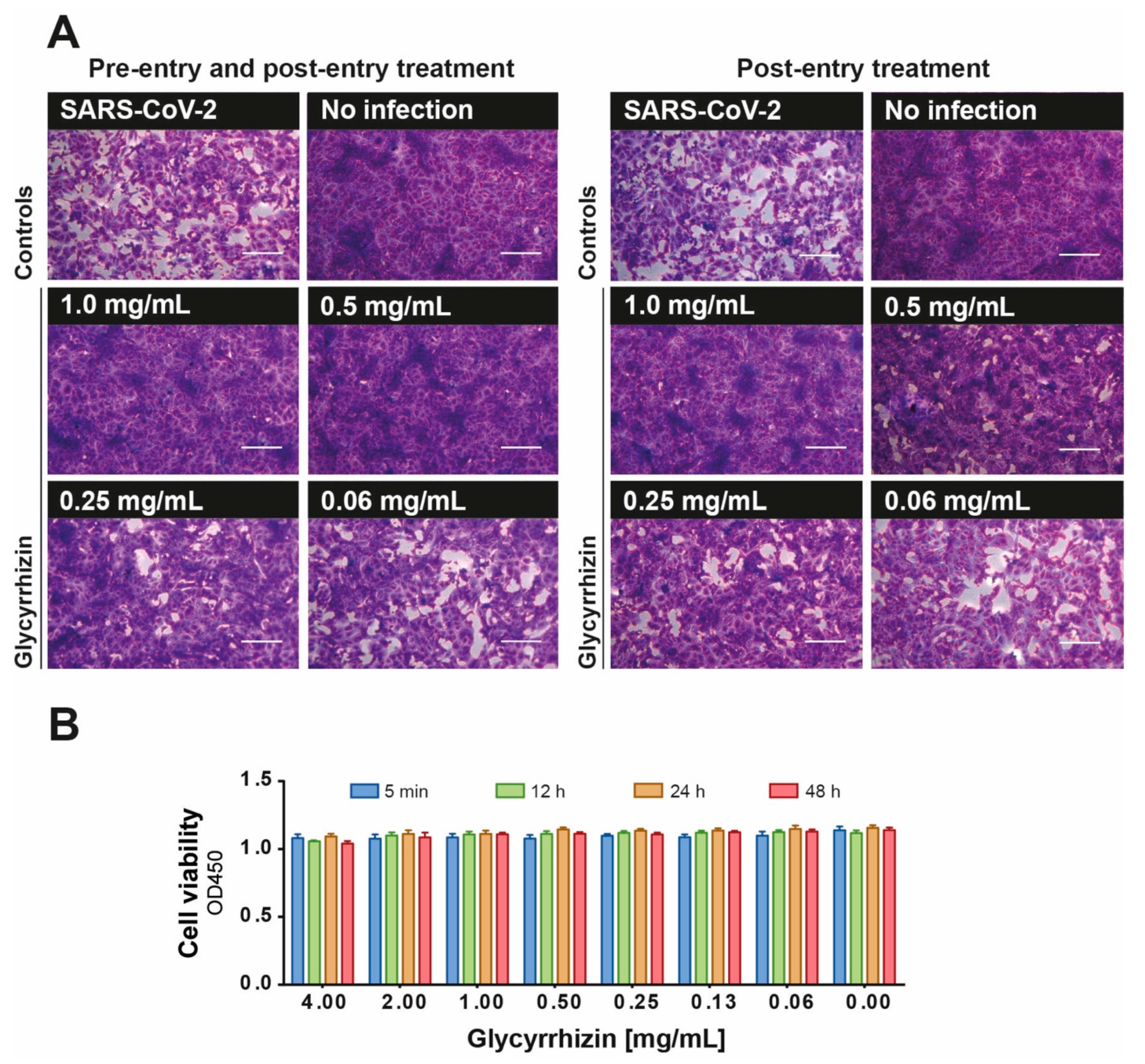 Viruses 13 00609 g002 Viruses 13 00609 g002