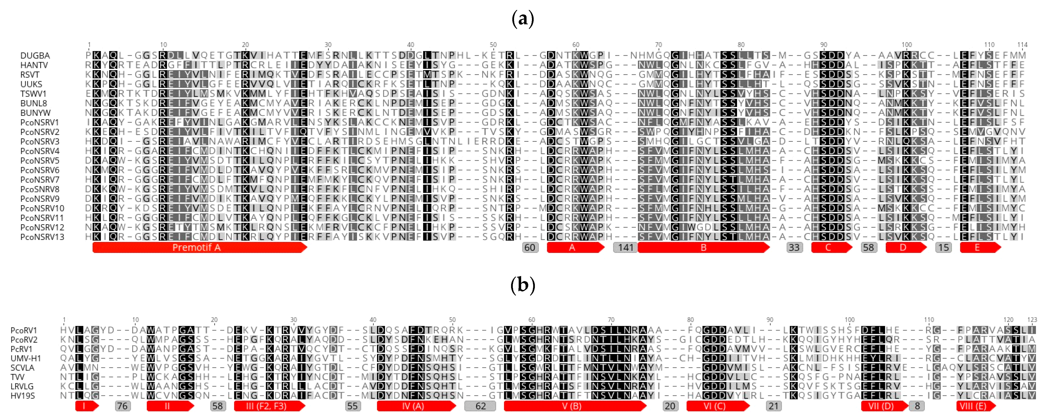 Viruses 13 00620 g003 Viruses 13 00620 g003