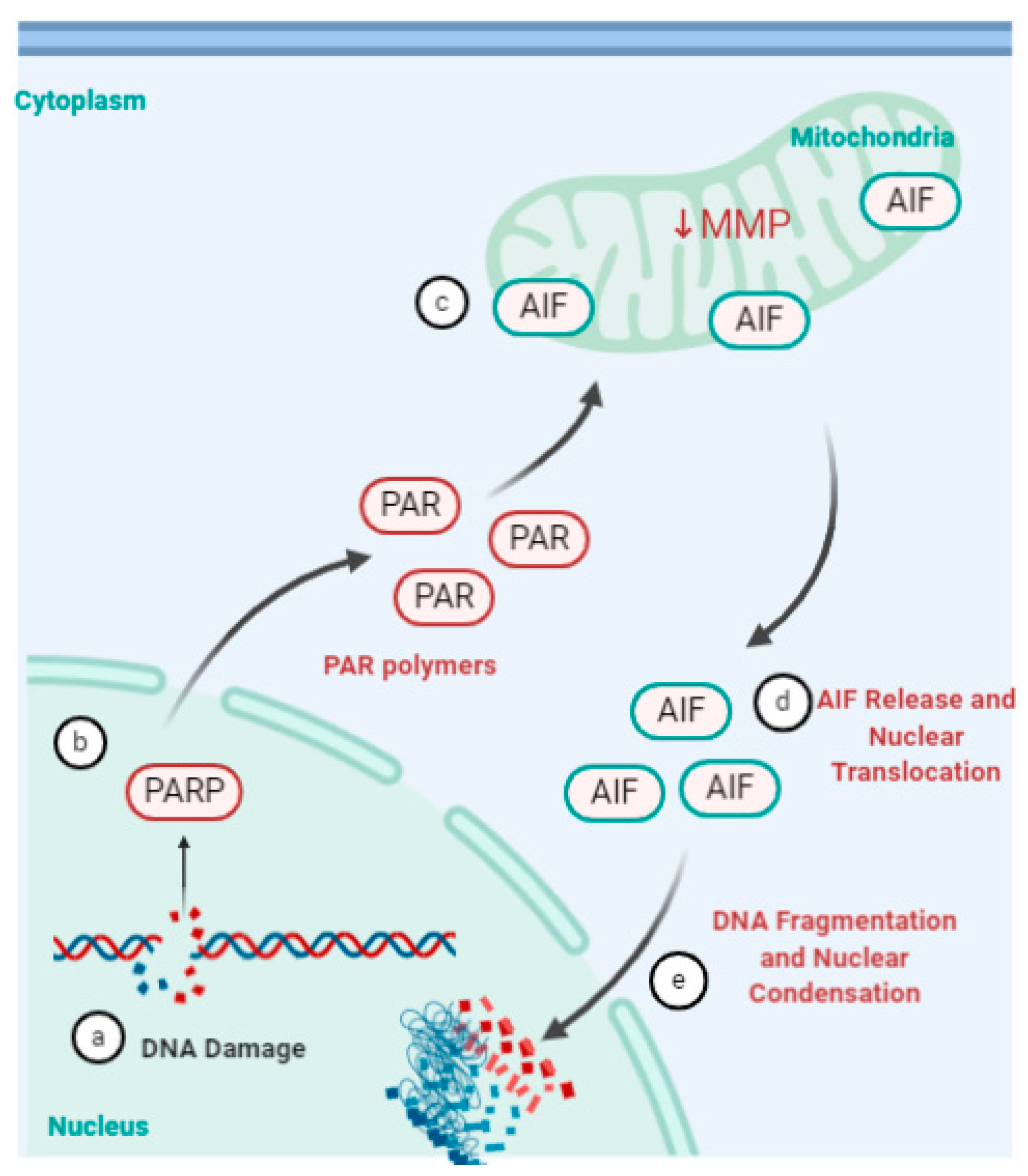 Viruses 13 00629 g005 Viruses 13 00629 g005