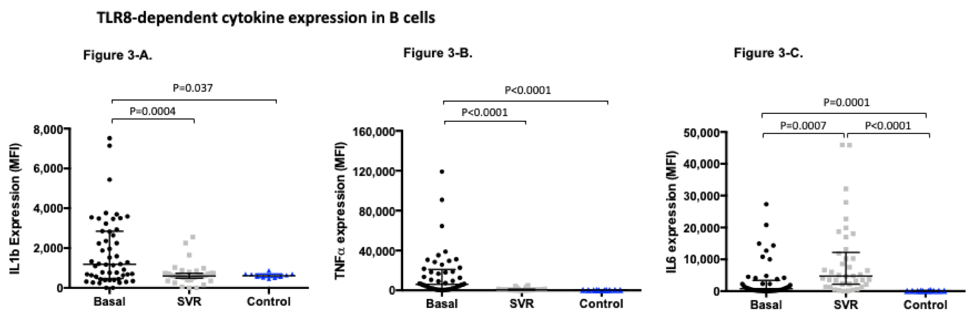 Viruses 13 00635 g003