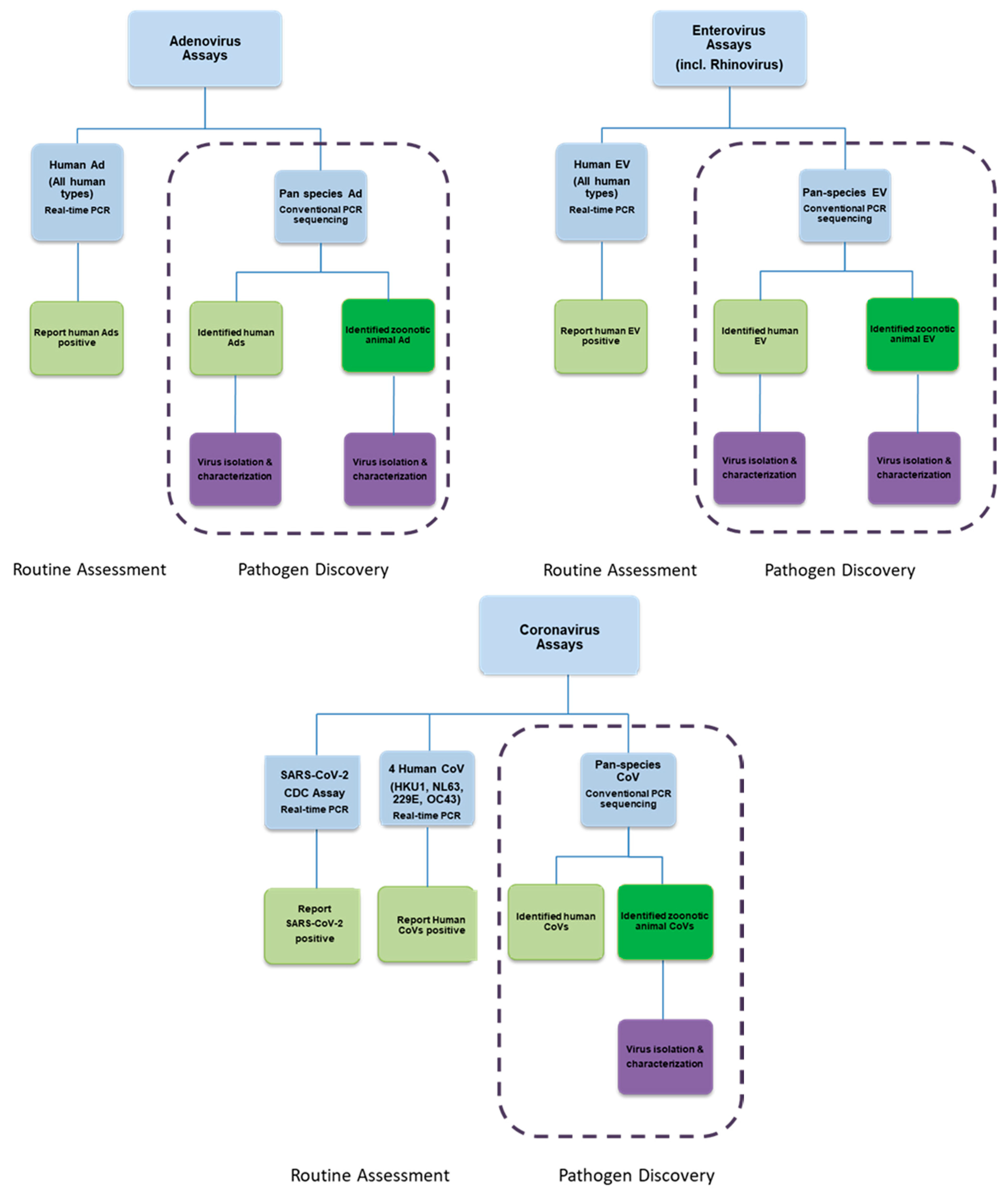 Viruses 13 00637 g006 Viruses 13 00637 g006