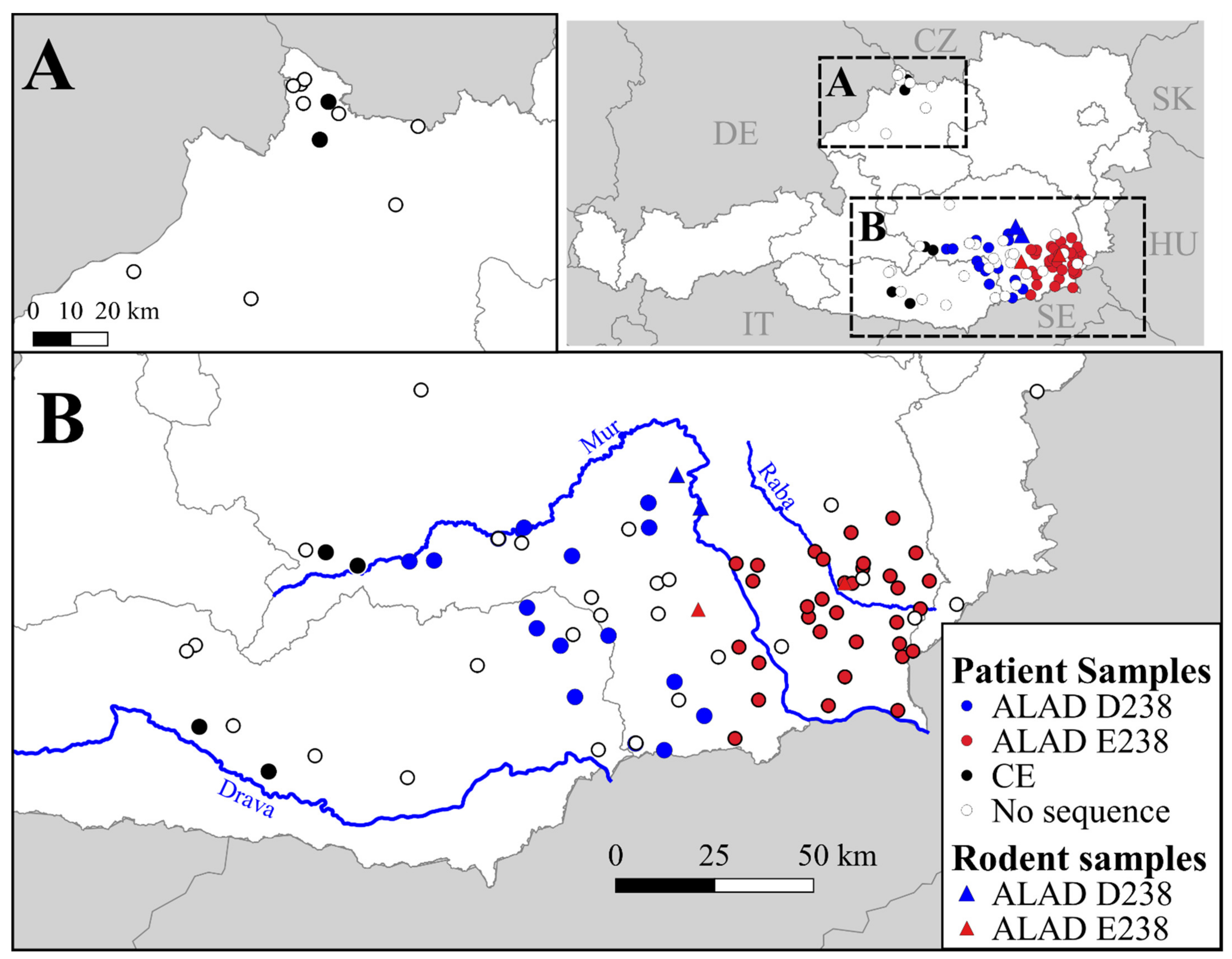 Viruses 13 00640 g002