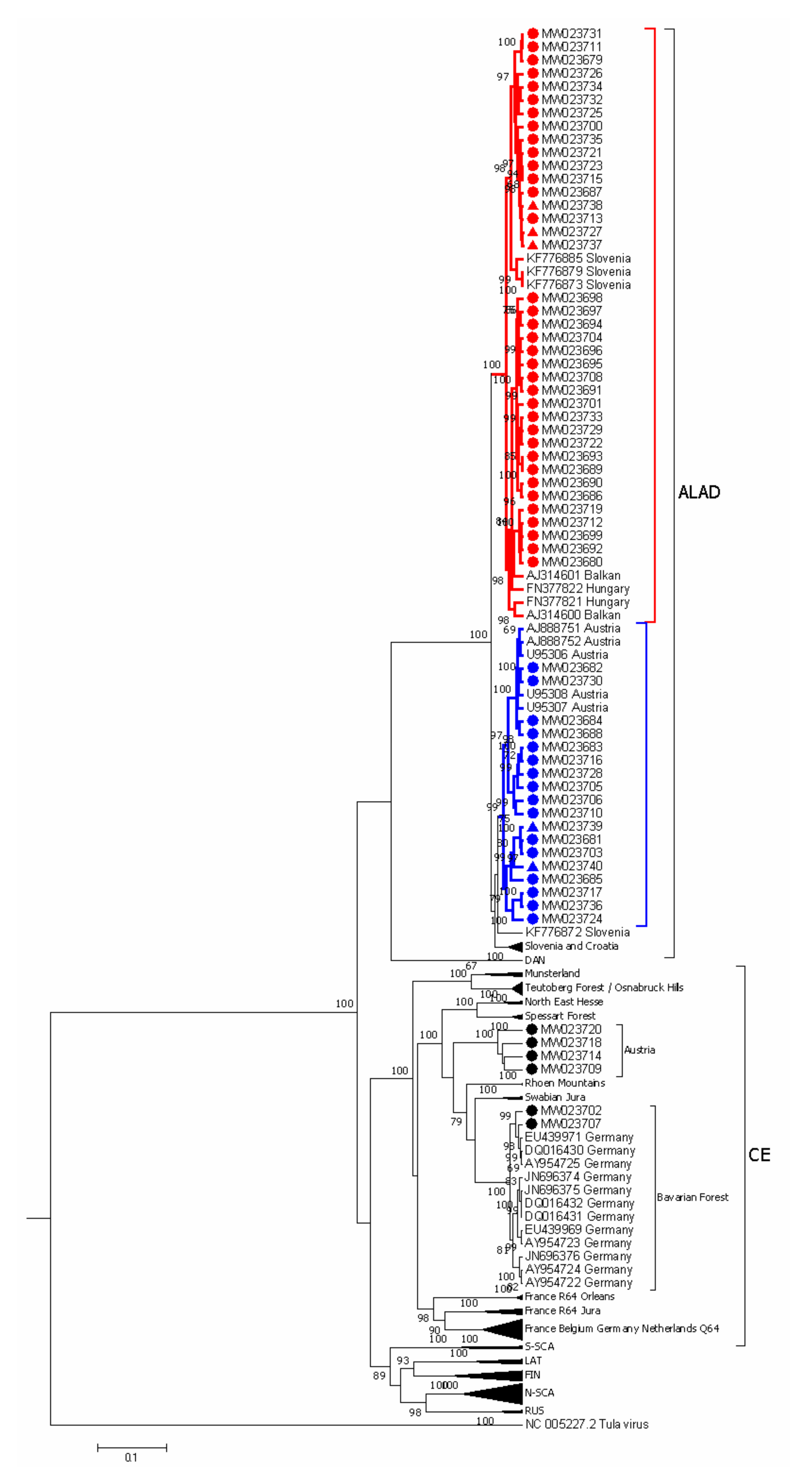 Viruses 13 00640 g003