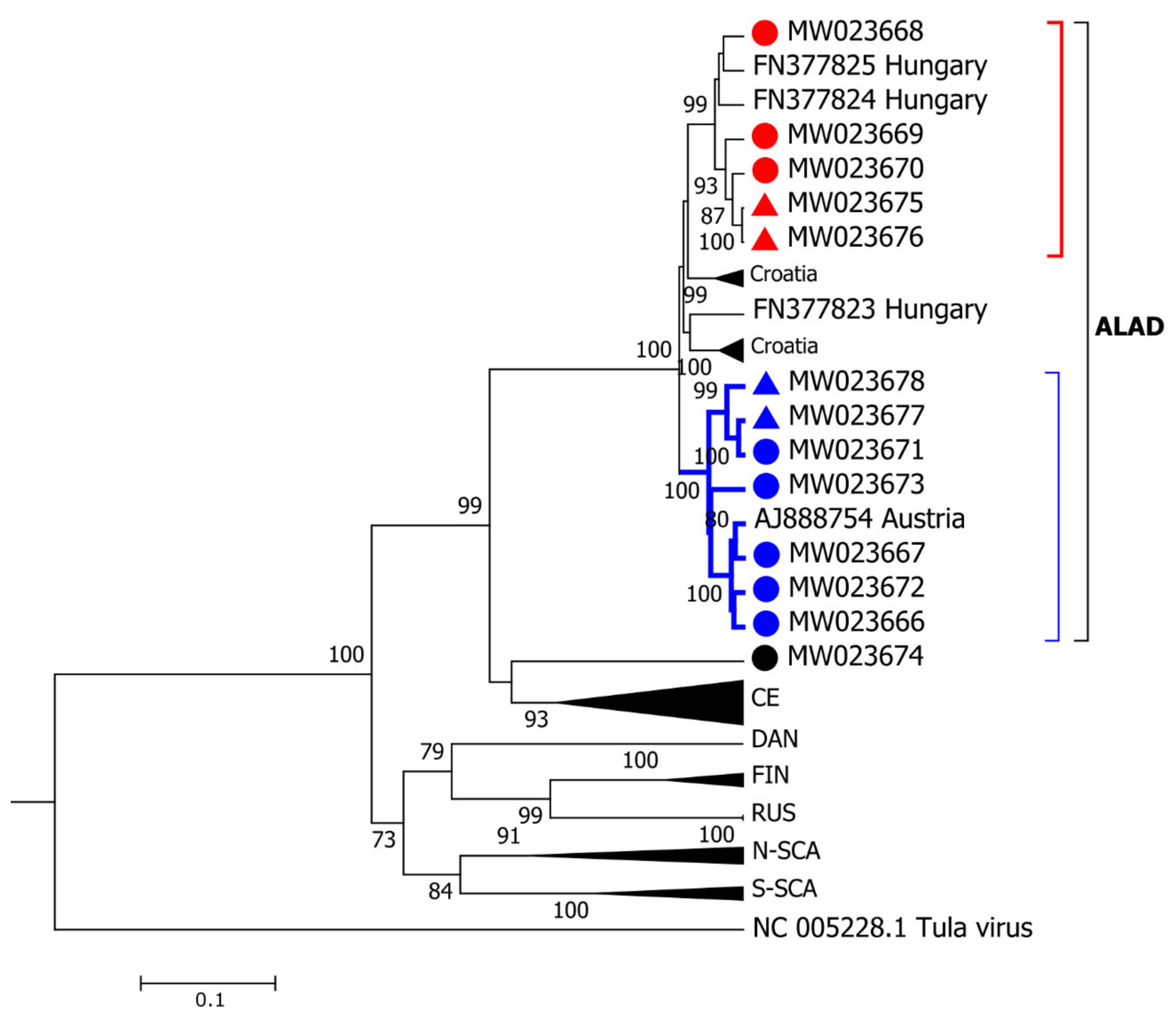 Viruses 13 00640 g005