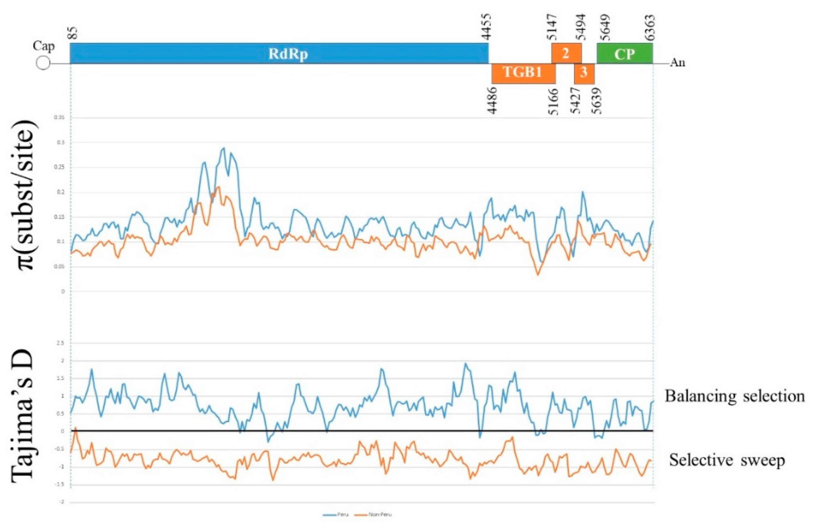 Viruses 13 00644 g003 Viruses 13 00644 g003