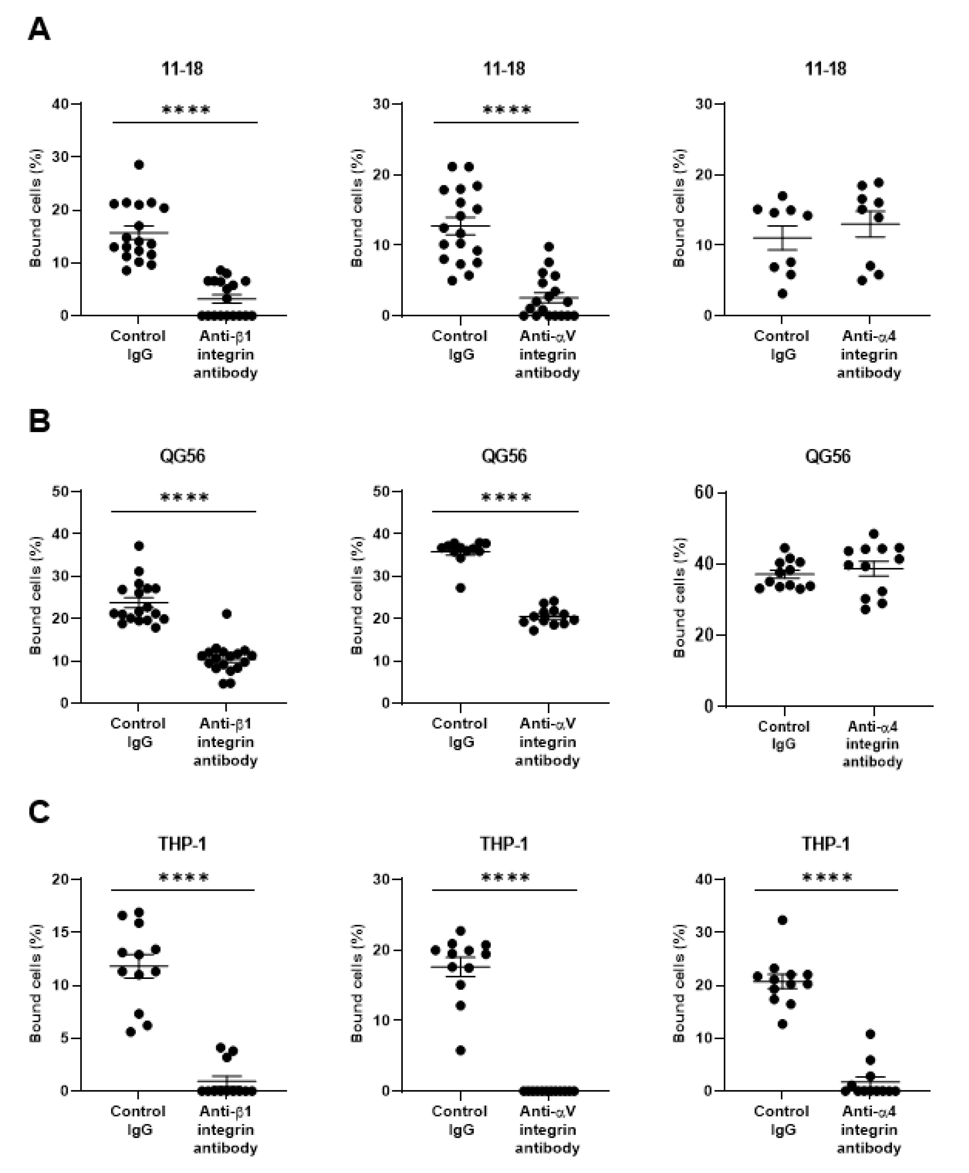 Viruses 13 00645 g001
