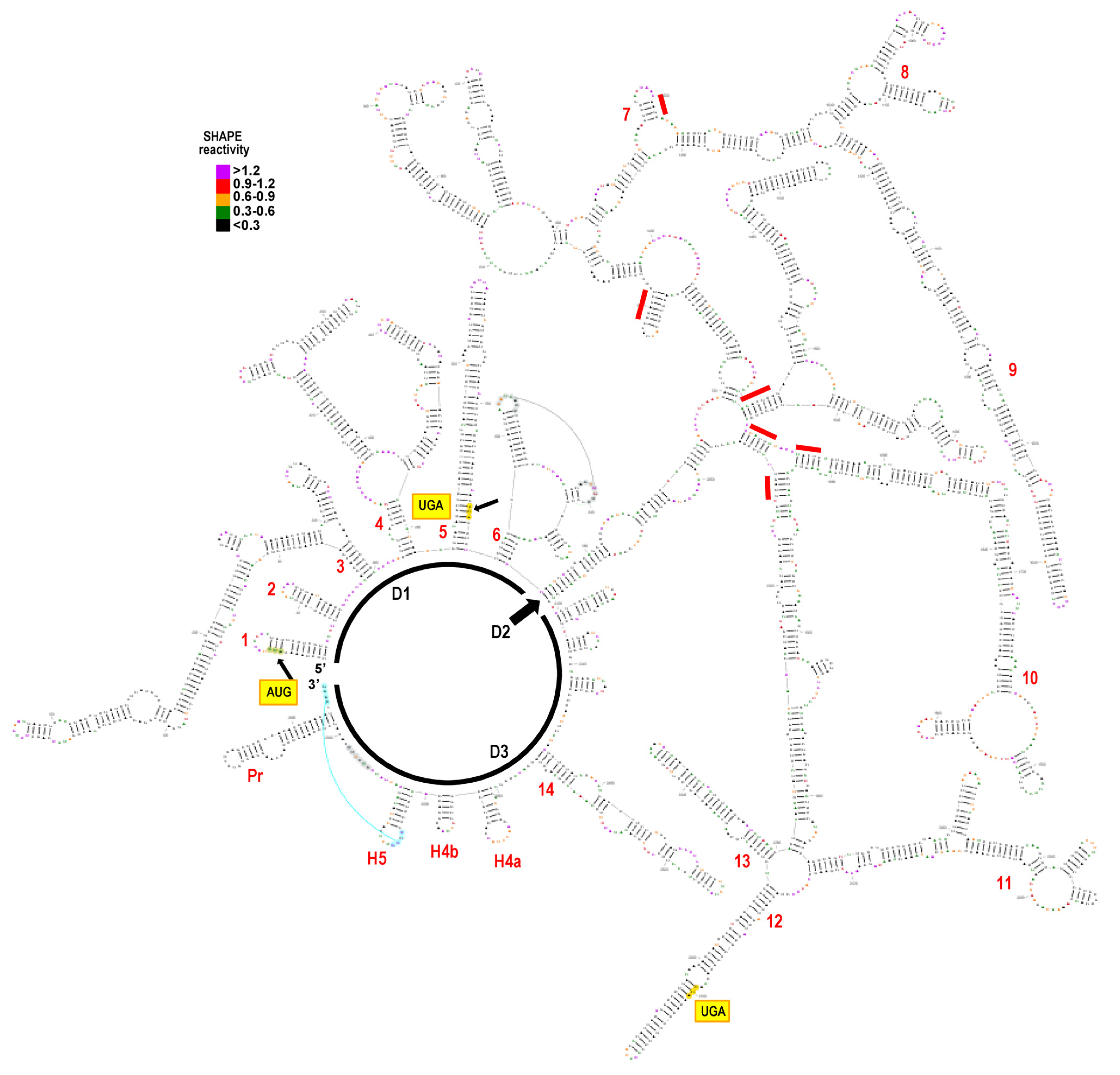 Viruses 13 00646 g003 Viruses 13 00646 g003