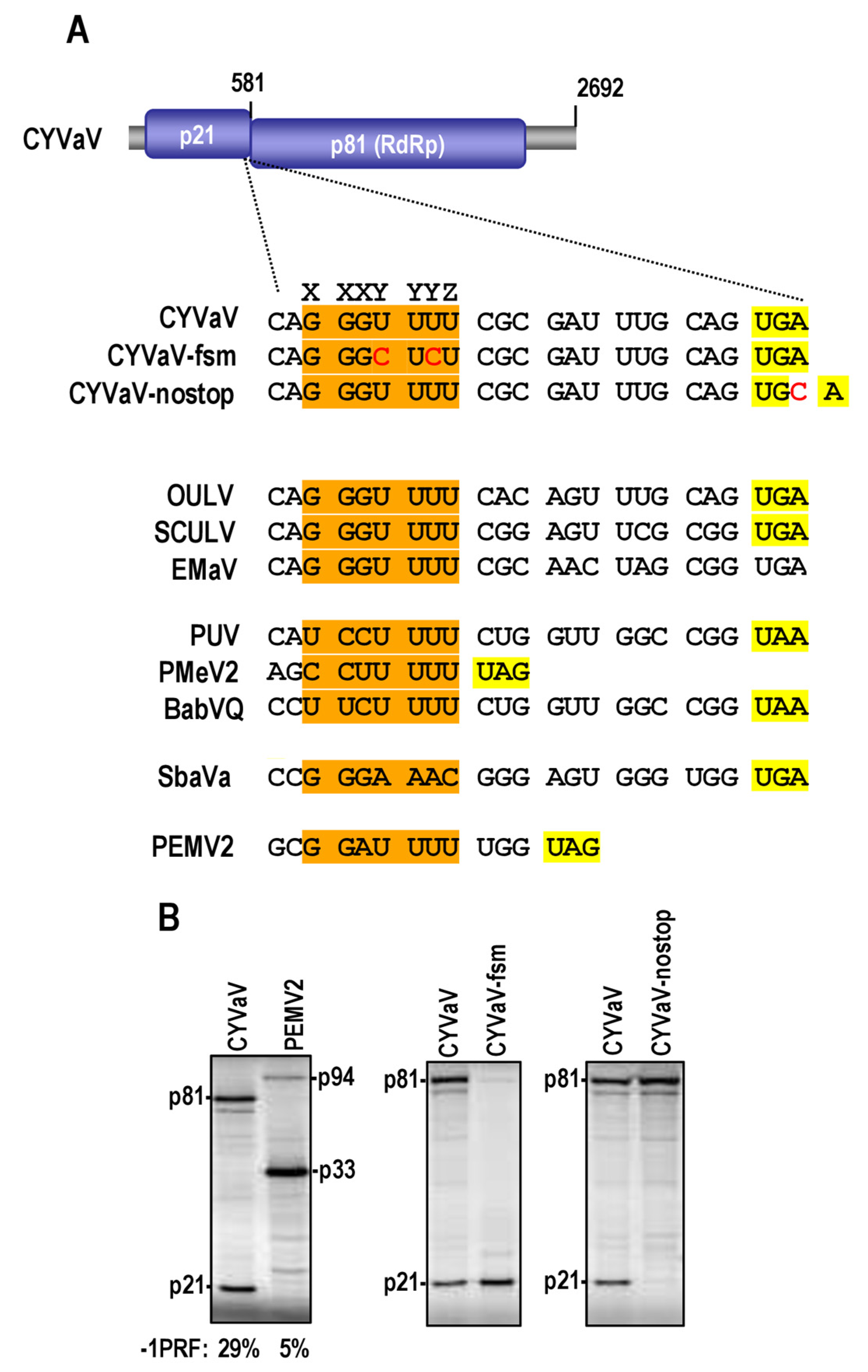Viruses 13 00646 g008 Viruses 13 00646 g008