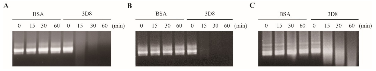 Viruses 13 00650 g001