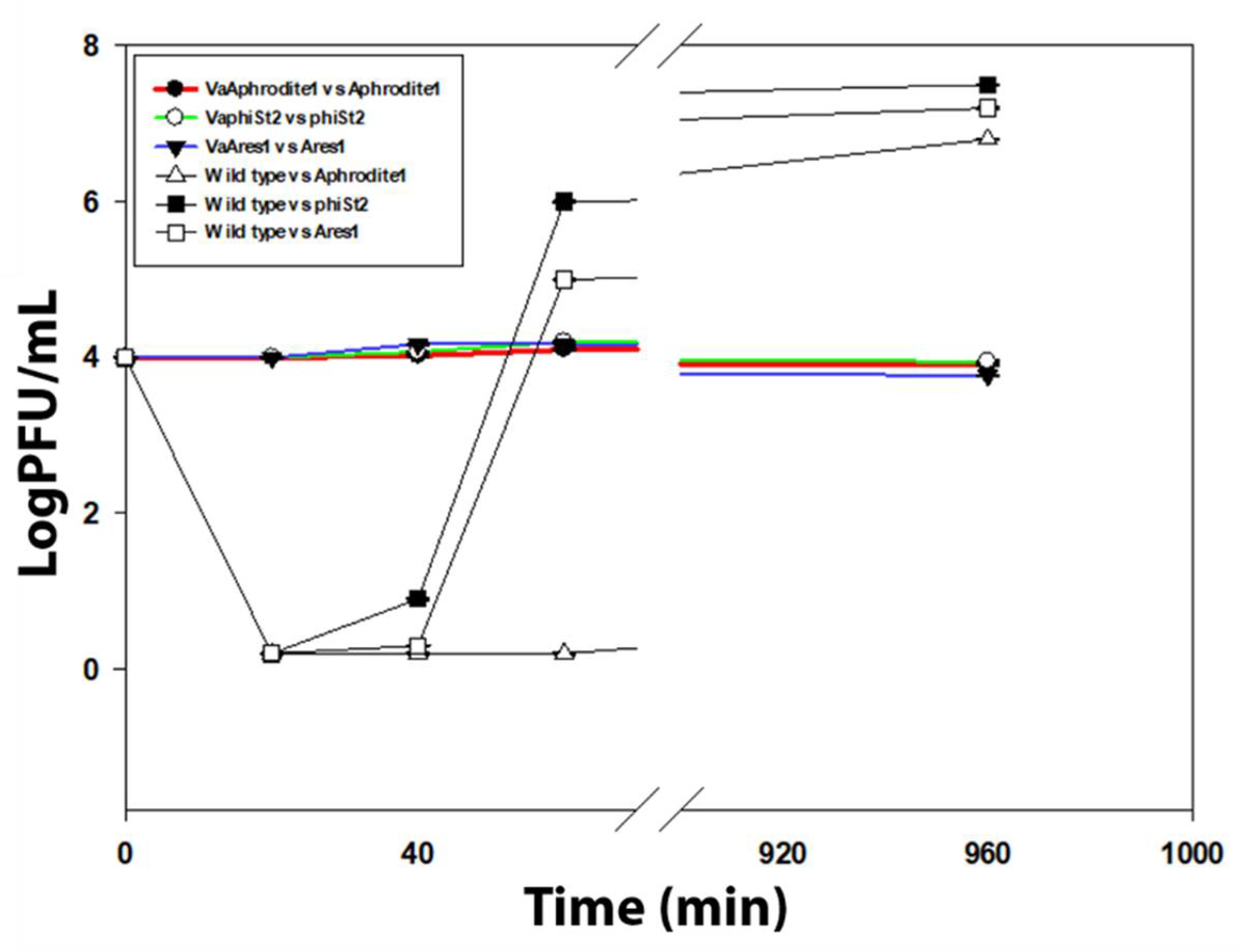Viruses 13 00656 g002 Viruses 13 00656 g002