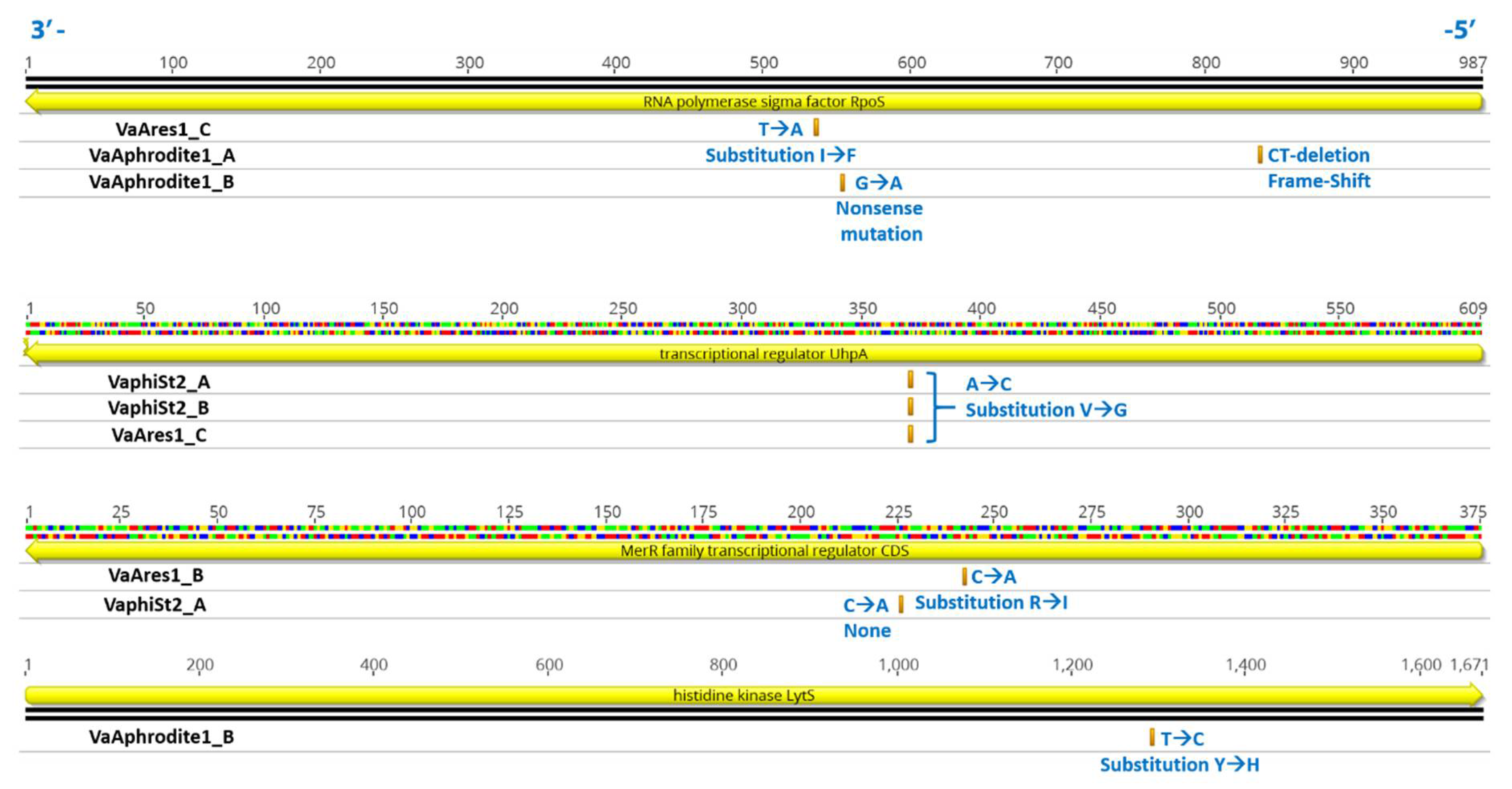 Viruses 13 00656 g005 Viruses 13 00656 g005