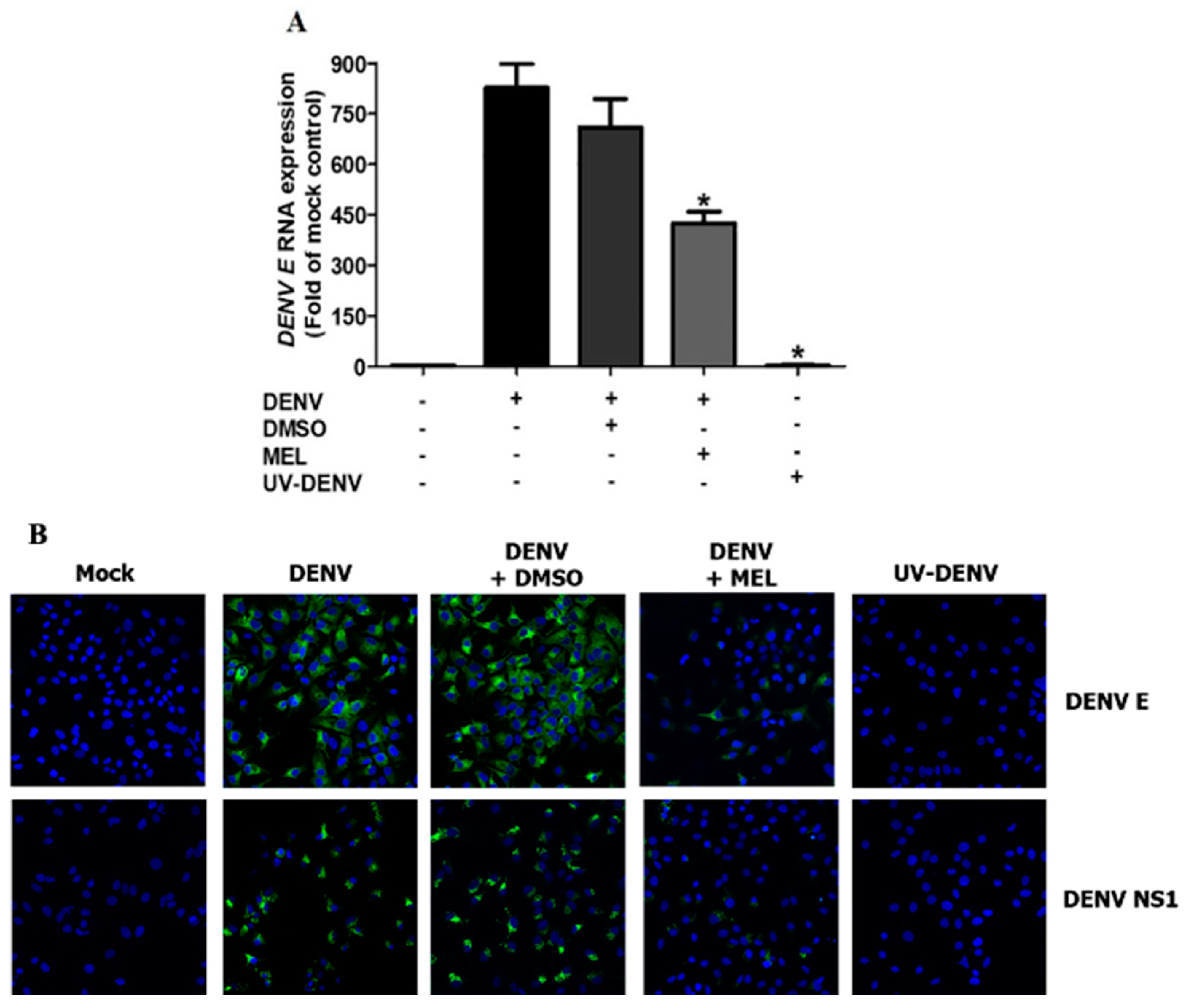 Viruses 13 00659 g005 Viruses 13 00659 g005