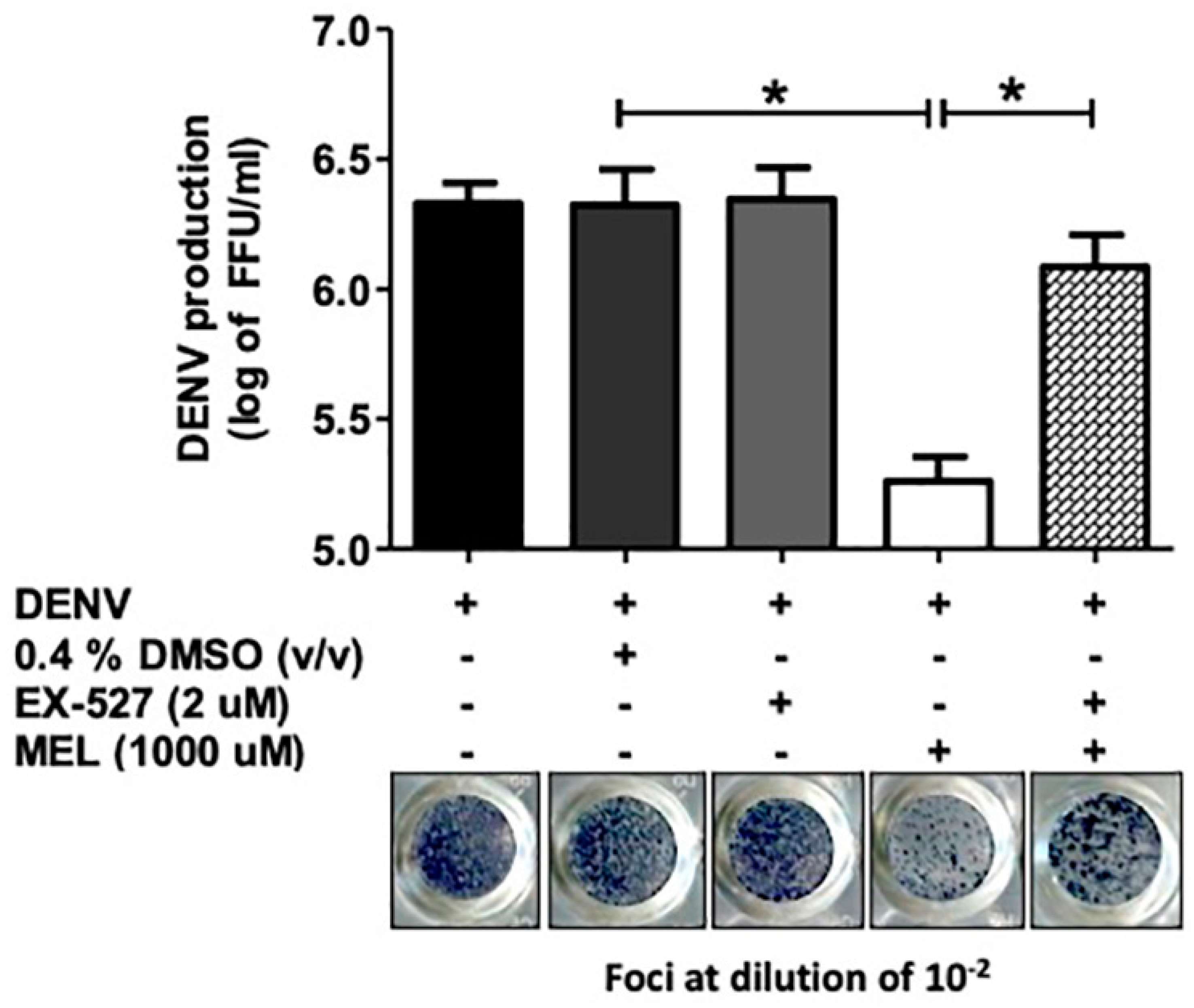 Viruses 13 00659 g006 Viruses 13 00659 g006