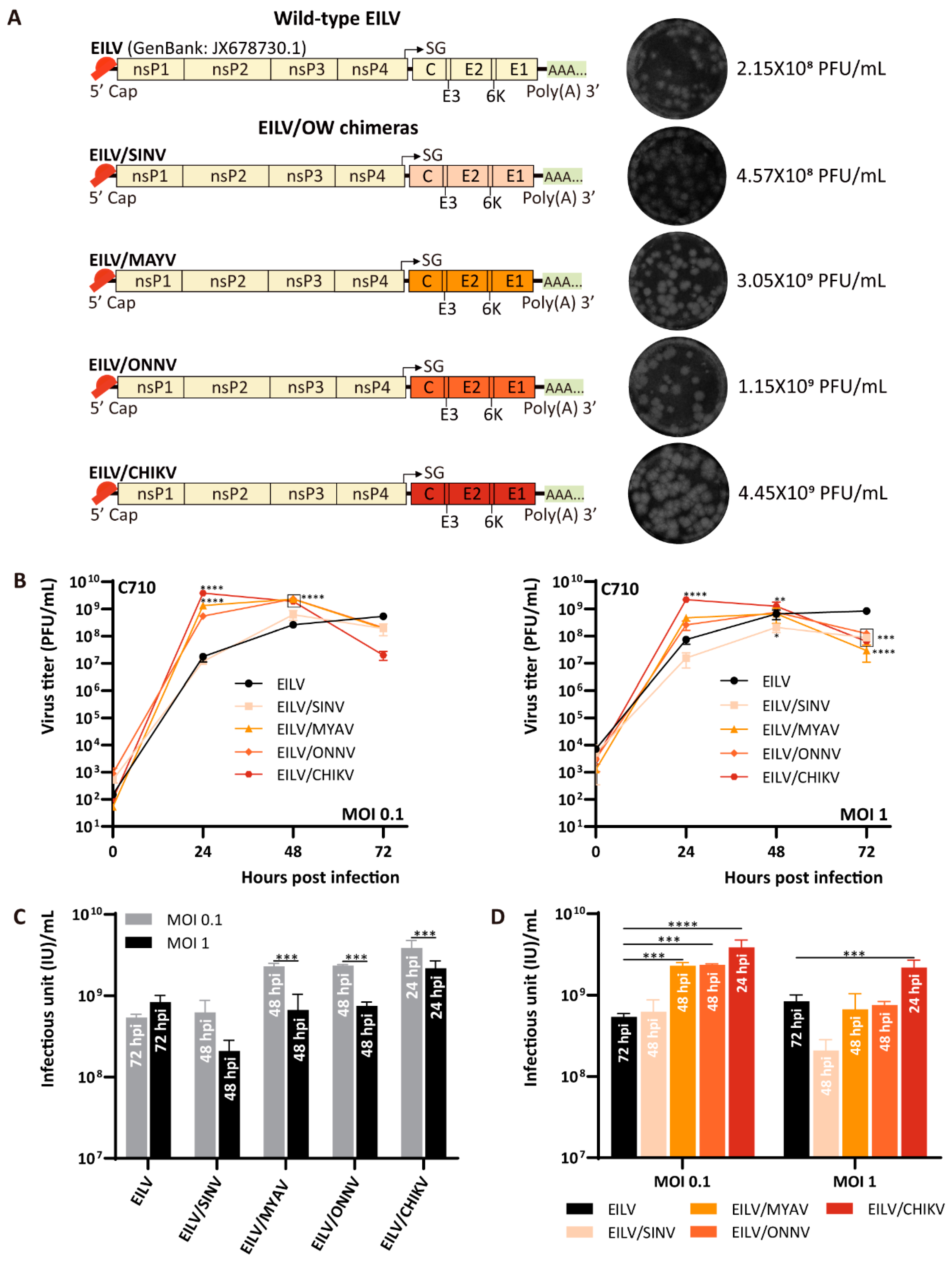 Viruses 13 00660 g001 Viruses 13 00660 g001