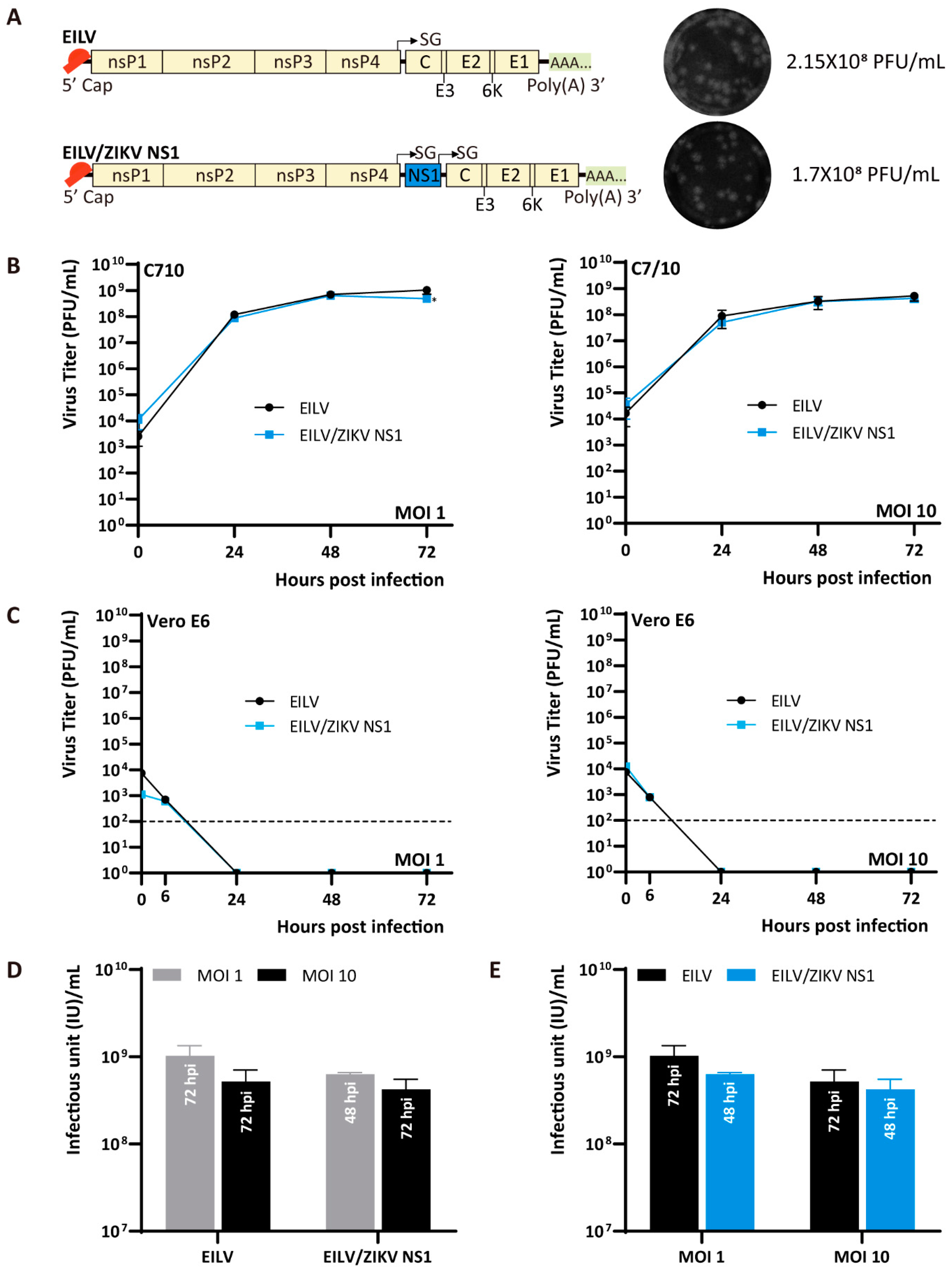 Viruses 13 00660 g004 Viruses 13 00660 g004