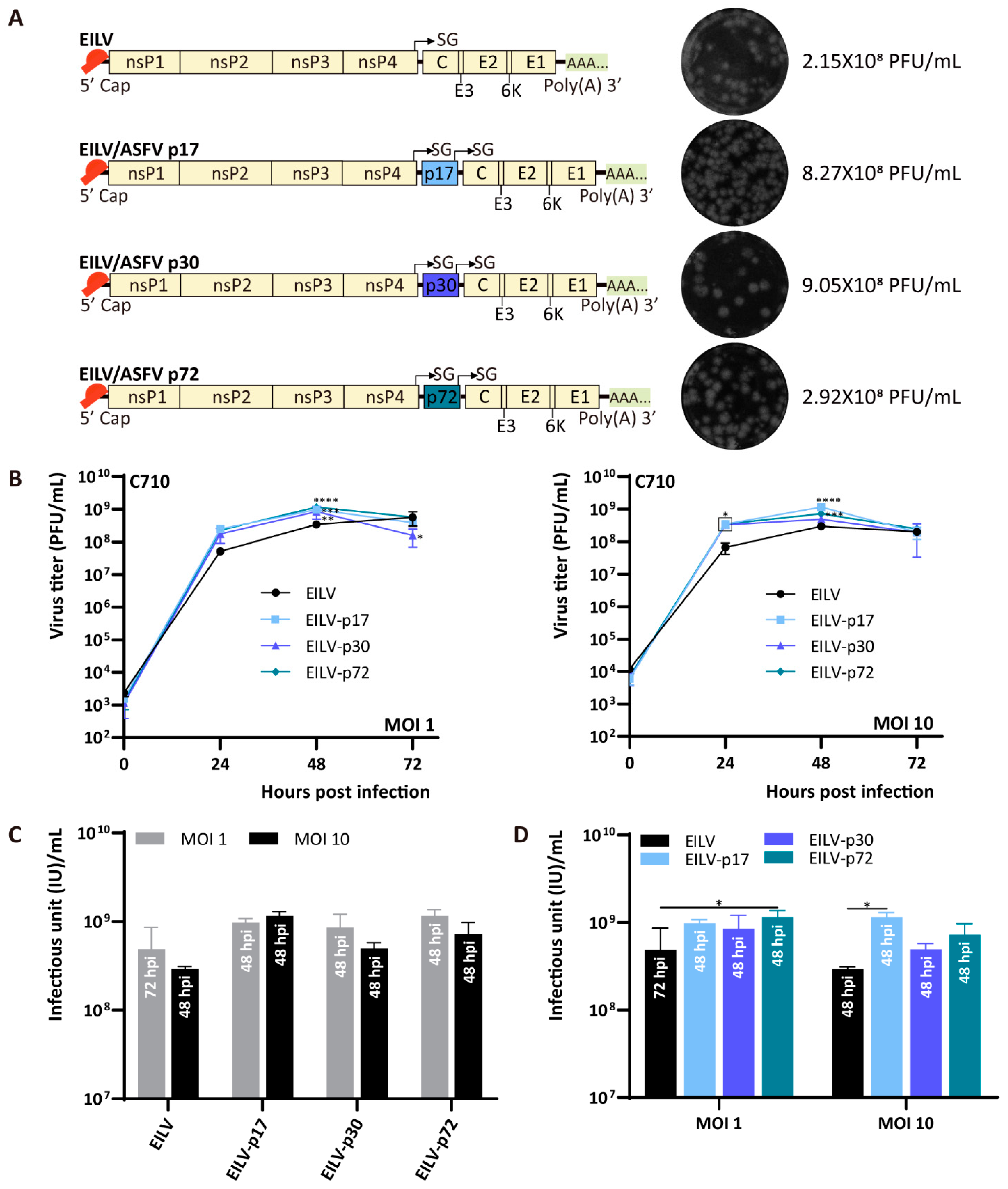 Viruses 13 00660 g005 Viruses 13 00660 g005