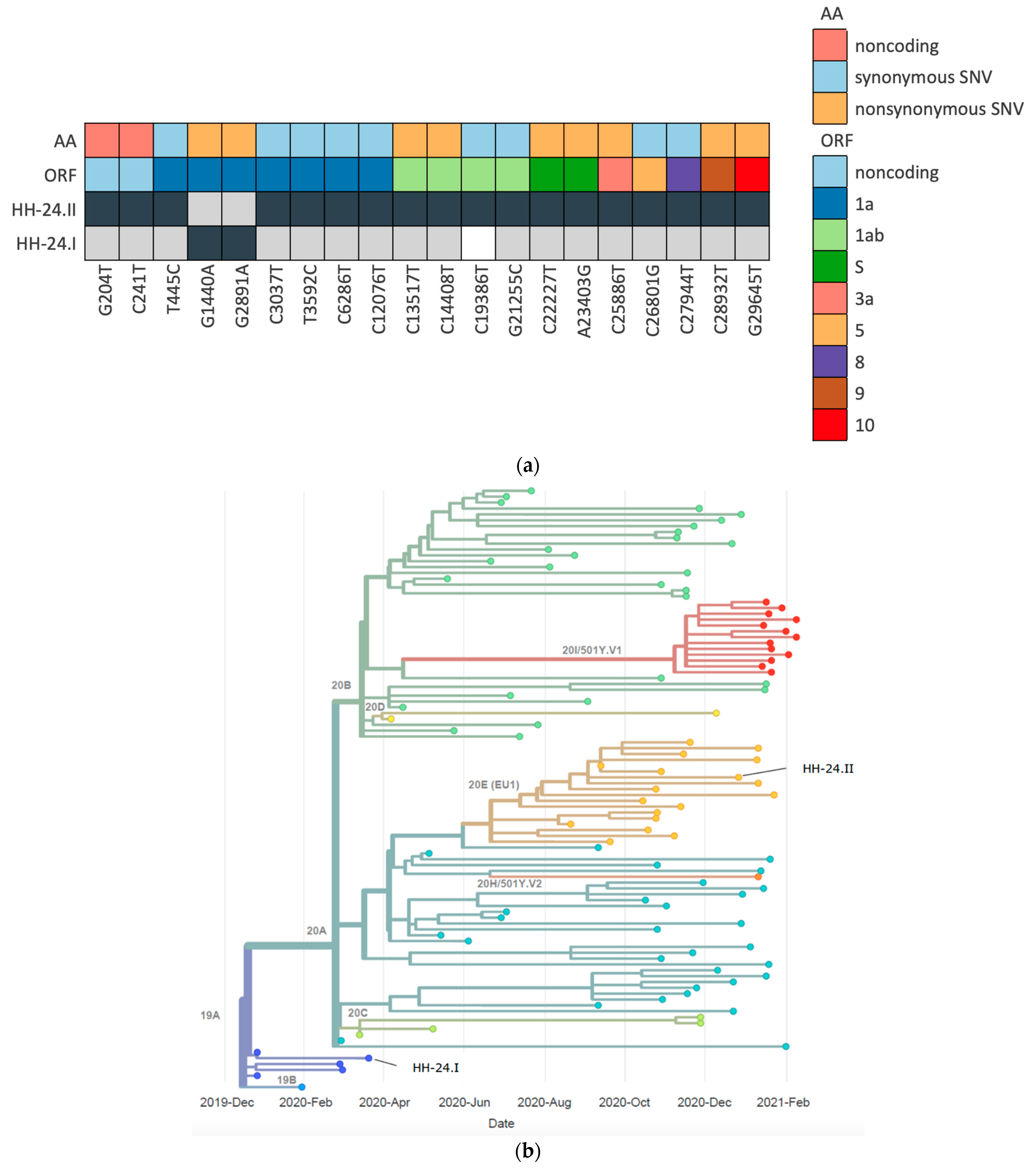 Viruses 13 00661 g003 Viruses 13 00661 g003