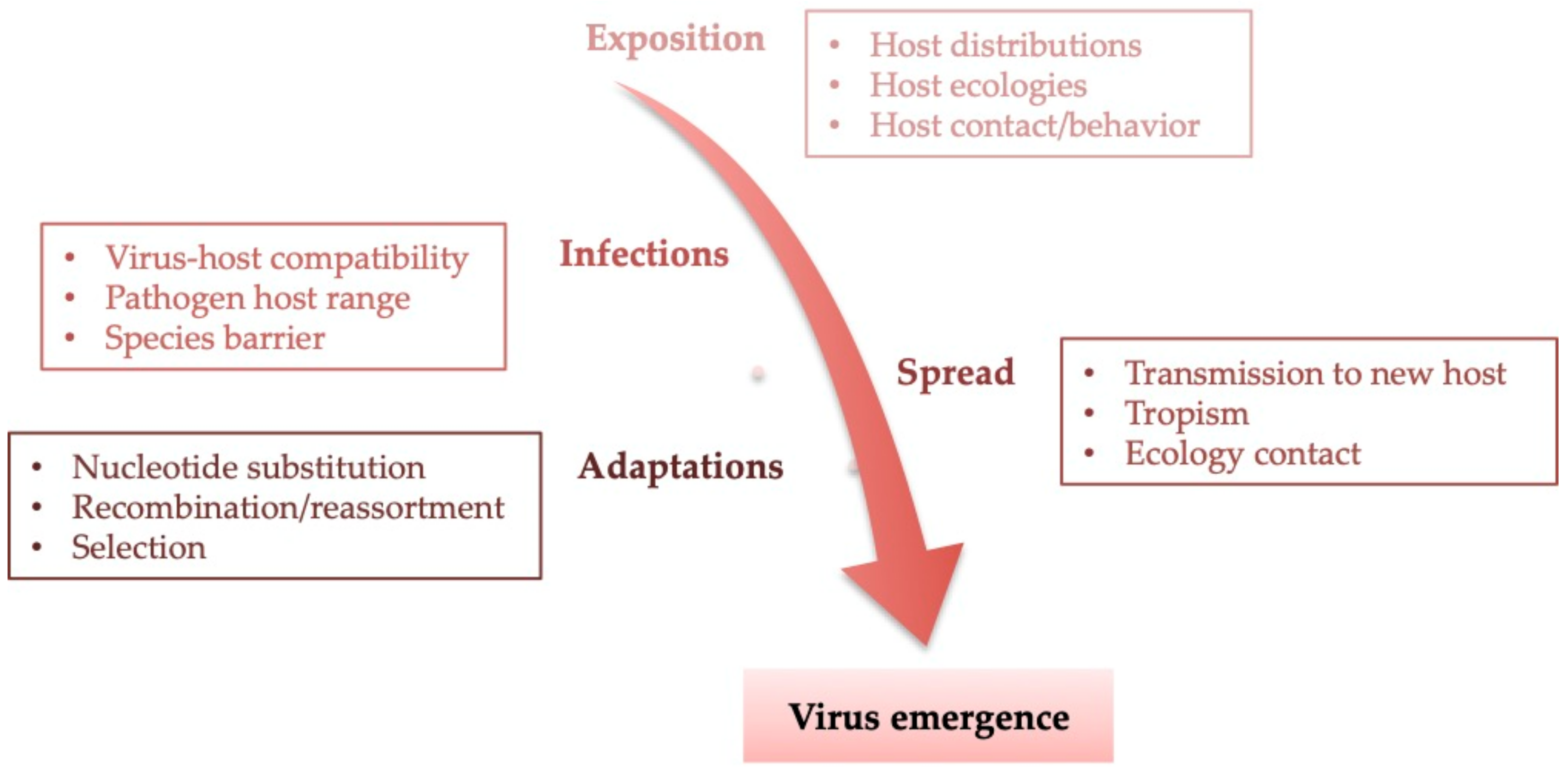 Viruses 13 00669 g001 Viruses 13 00669 g001
