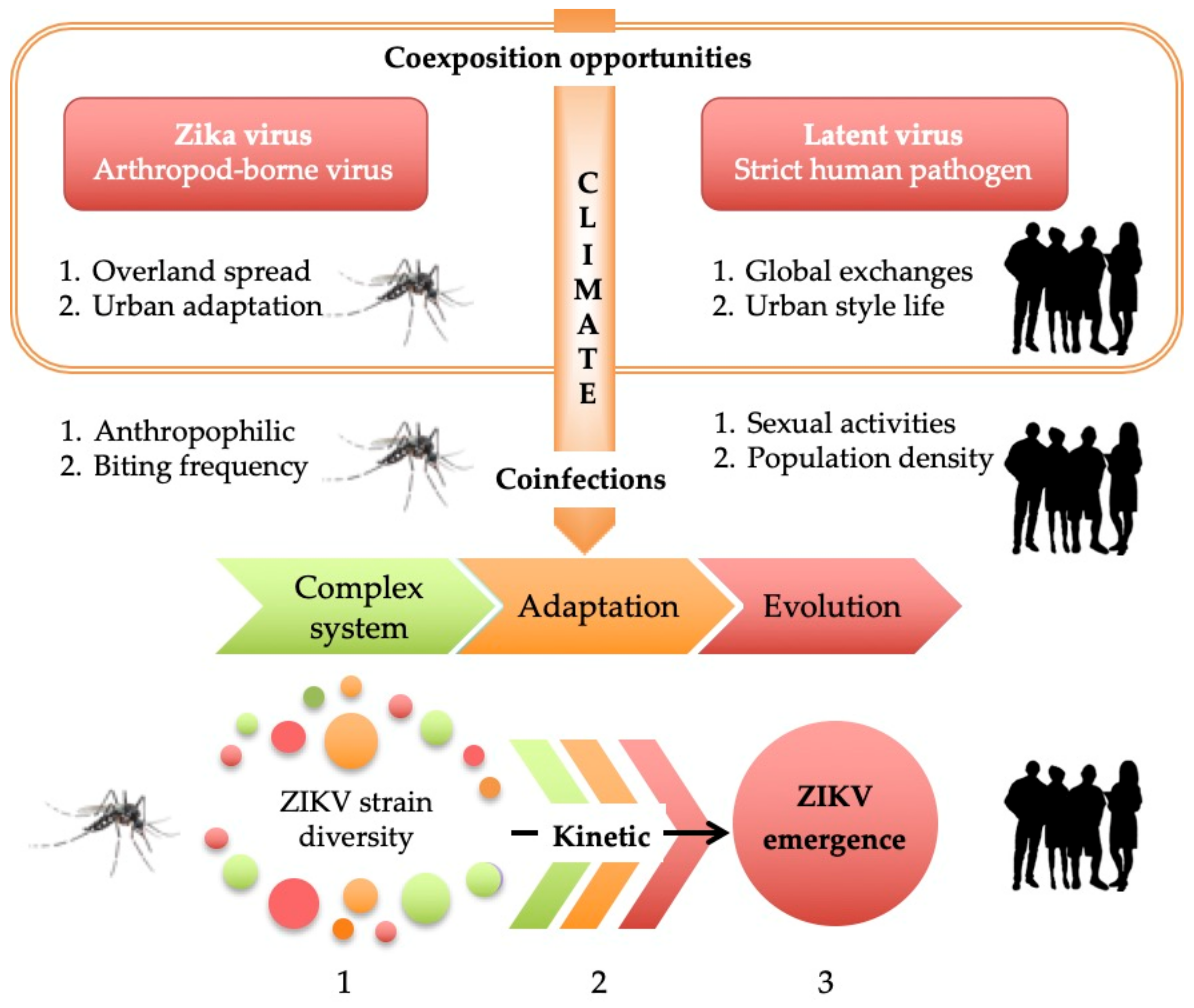 Viruses 13 00669 g003 Viruses 13 00669 g003