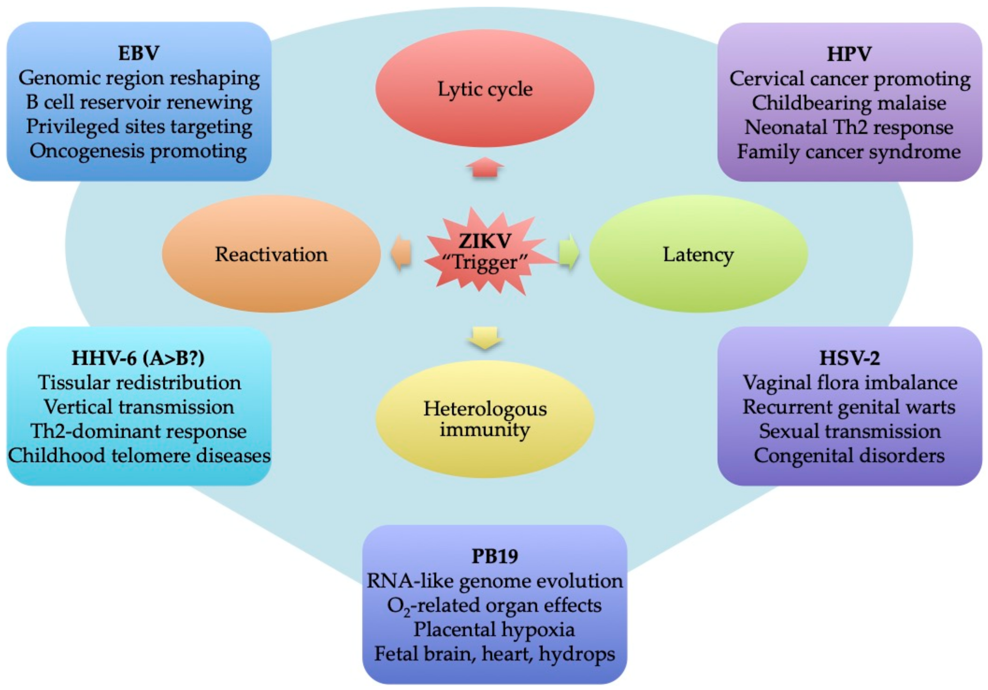 Viruses 13 00669 g005 Viruses 13 00669 g005