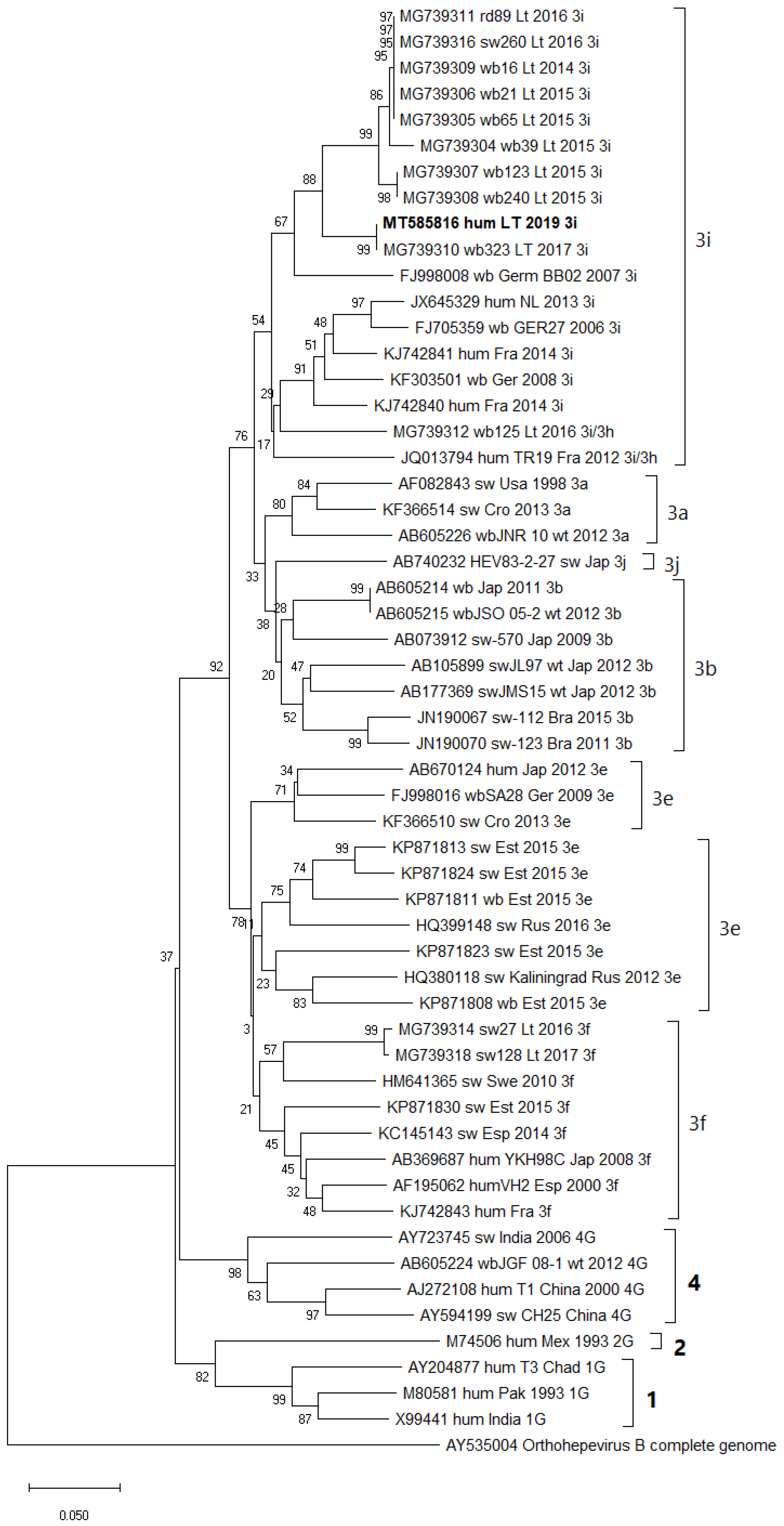 Viruses 13 00670 g002 Viruses 13 00670 g002
