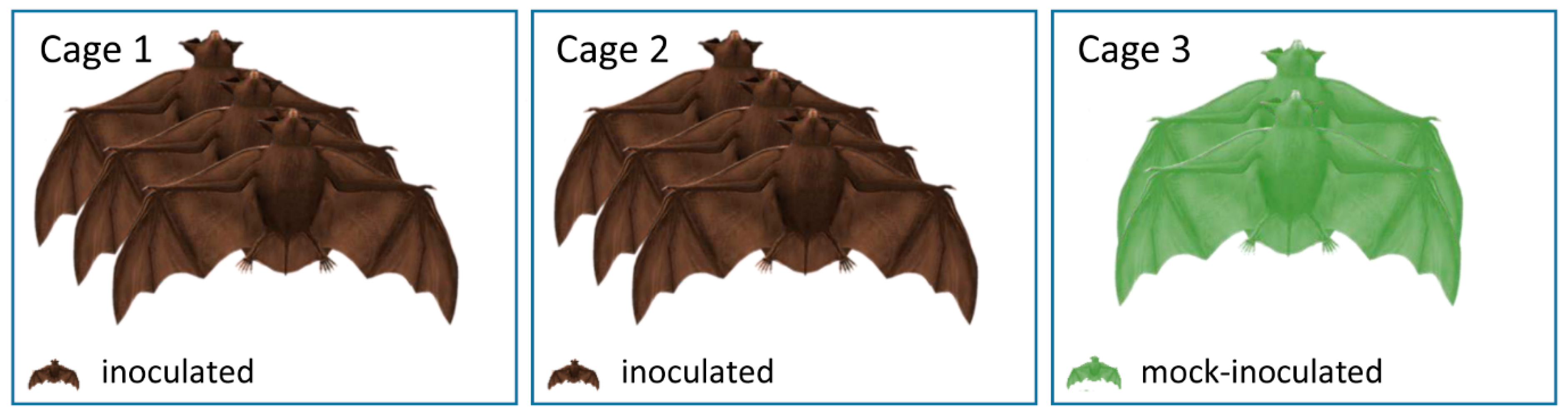 Viruses 13 00672 g001 Viruses 13 00672 g001