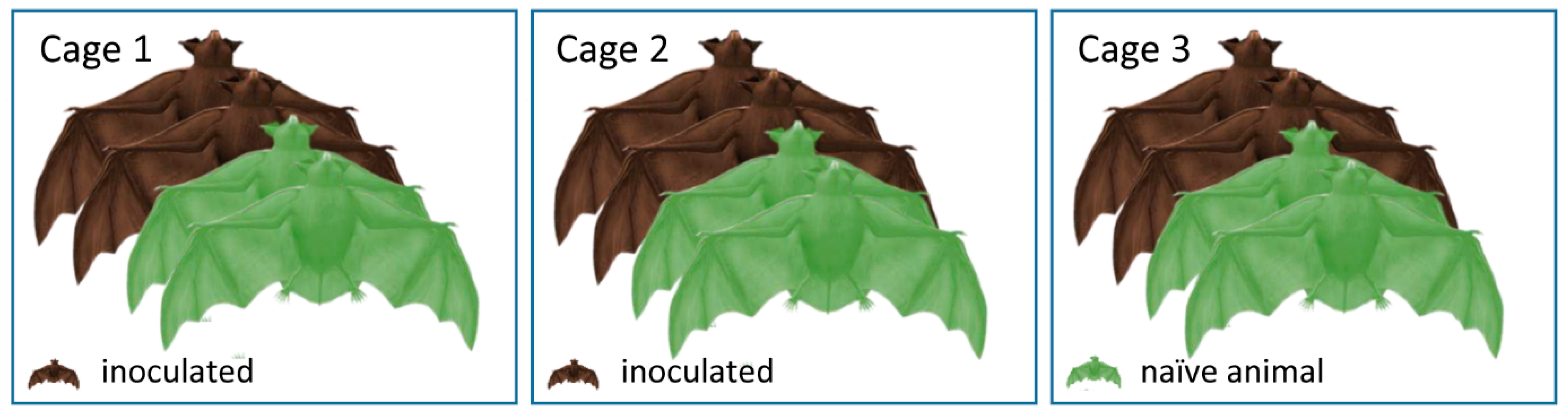 Viruses 13 00672 g002 Viruses 13 00672 g002