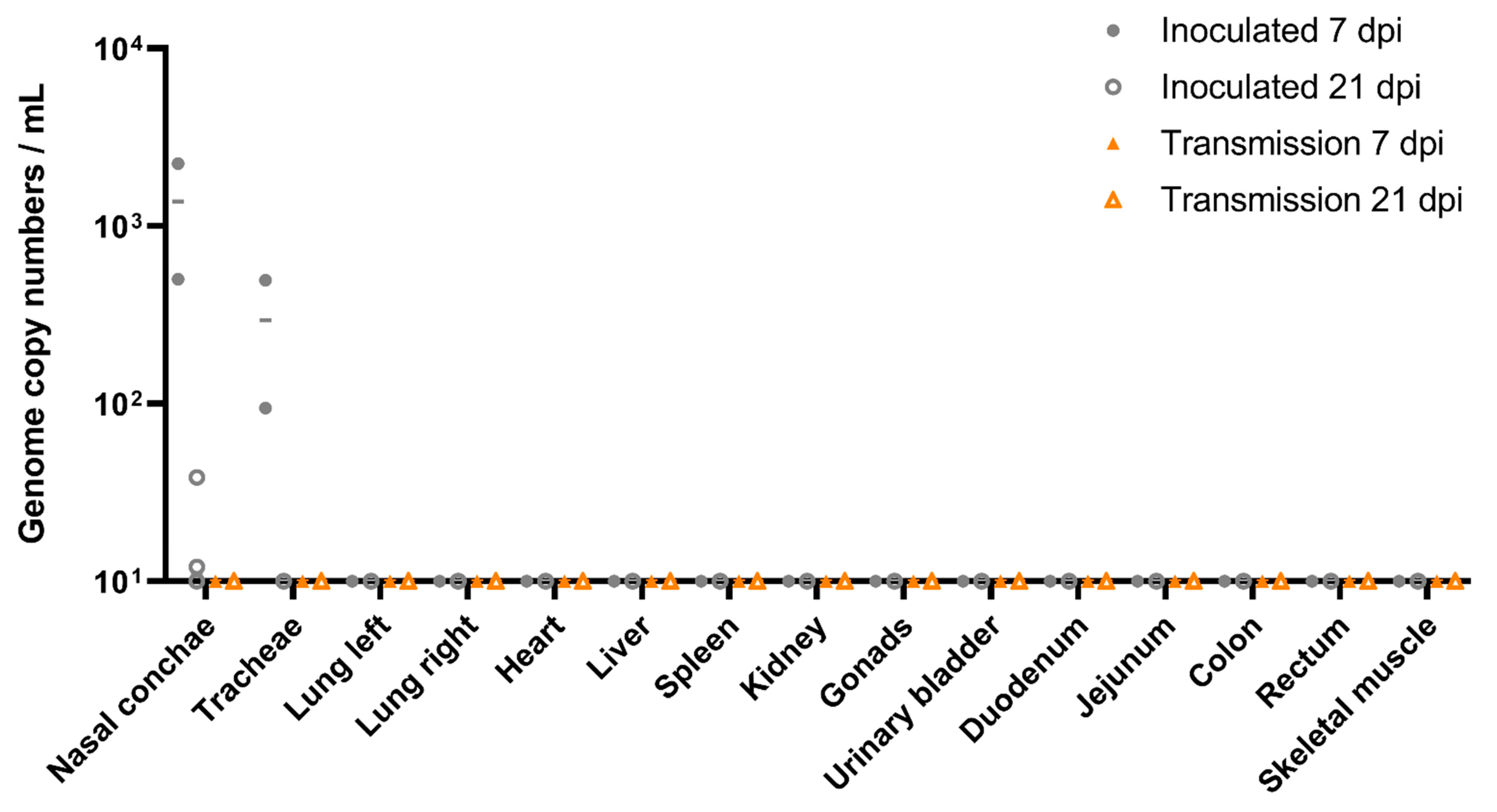 Viruses 13 00672 g006 Viruses 13 00672 g006