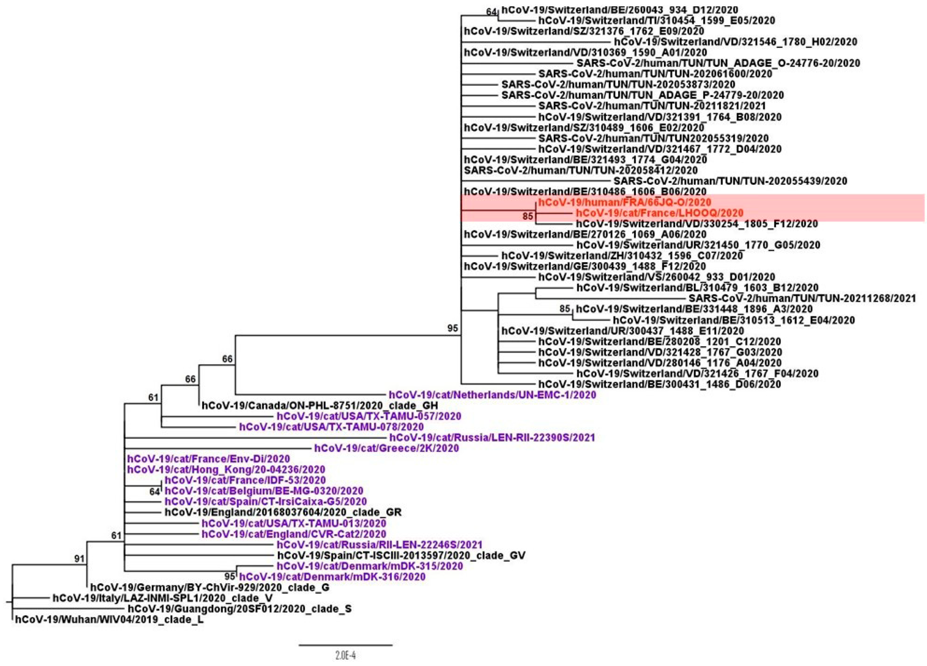 Viruses 13 00673 g001 Viruses 13 00673 g001