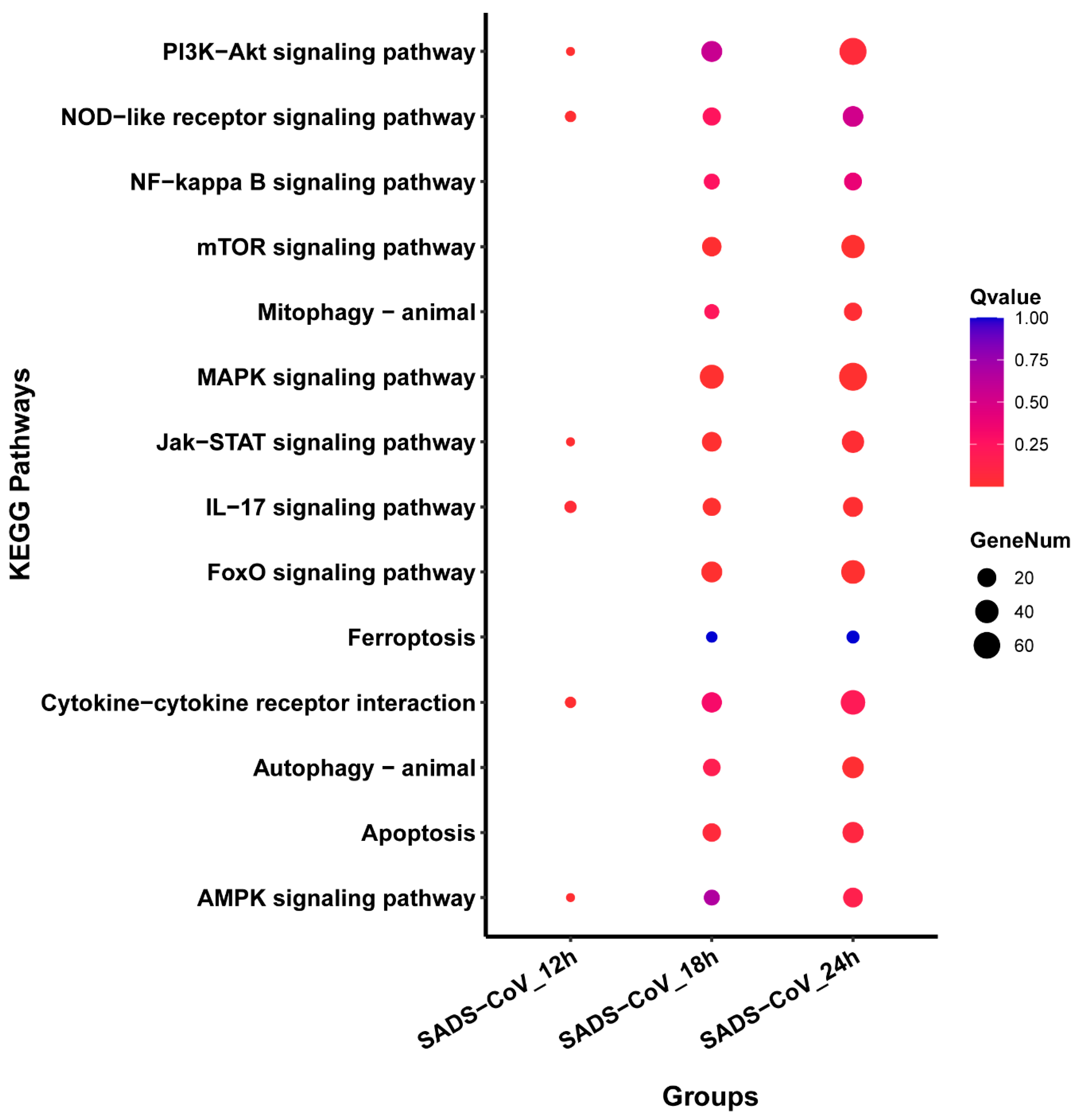 Viruses 13 00674 g005 Viruses 13 00674 g005