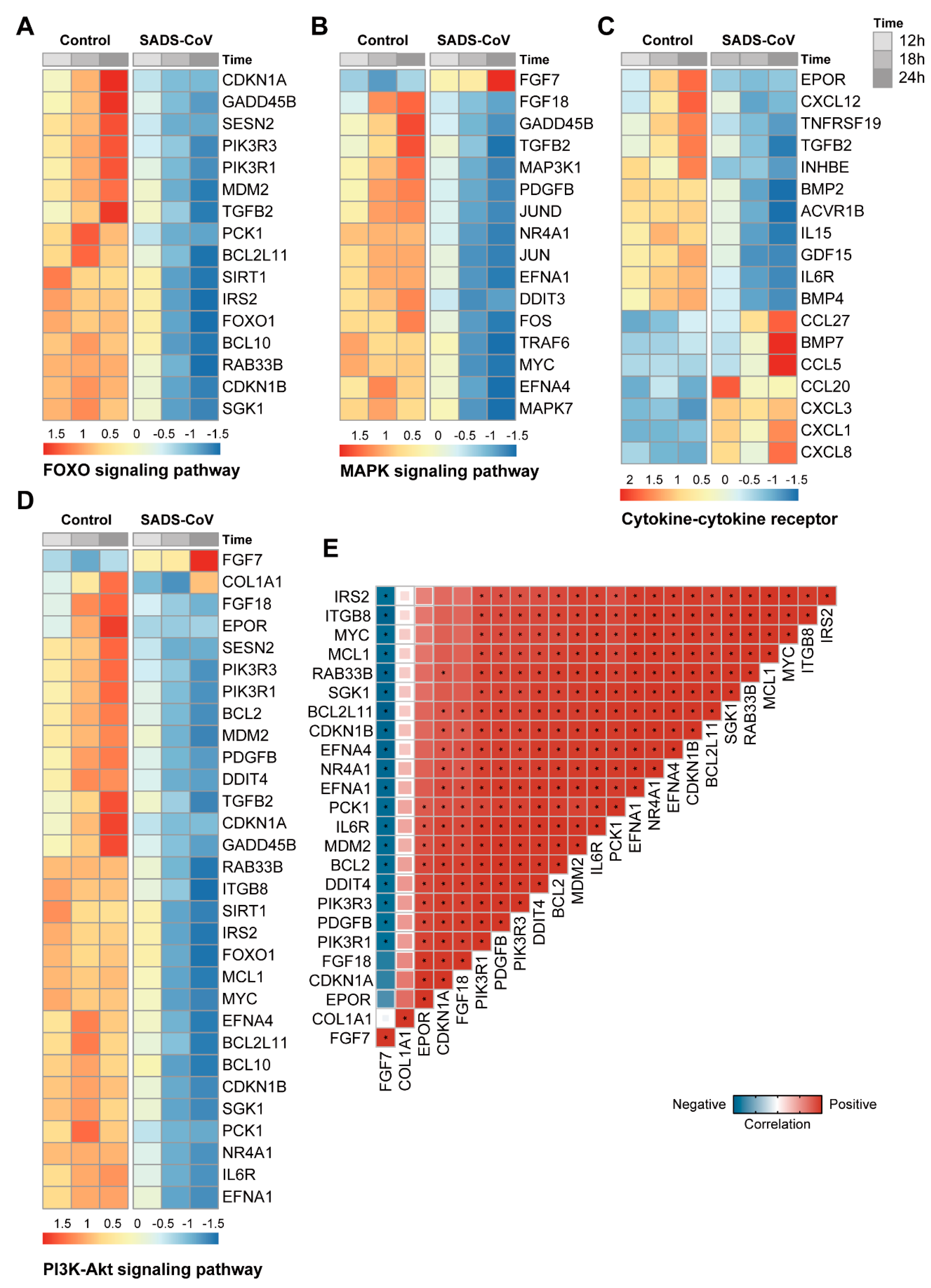 Viruses 13 00674 g006 Viruses 13 00674 g006