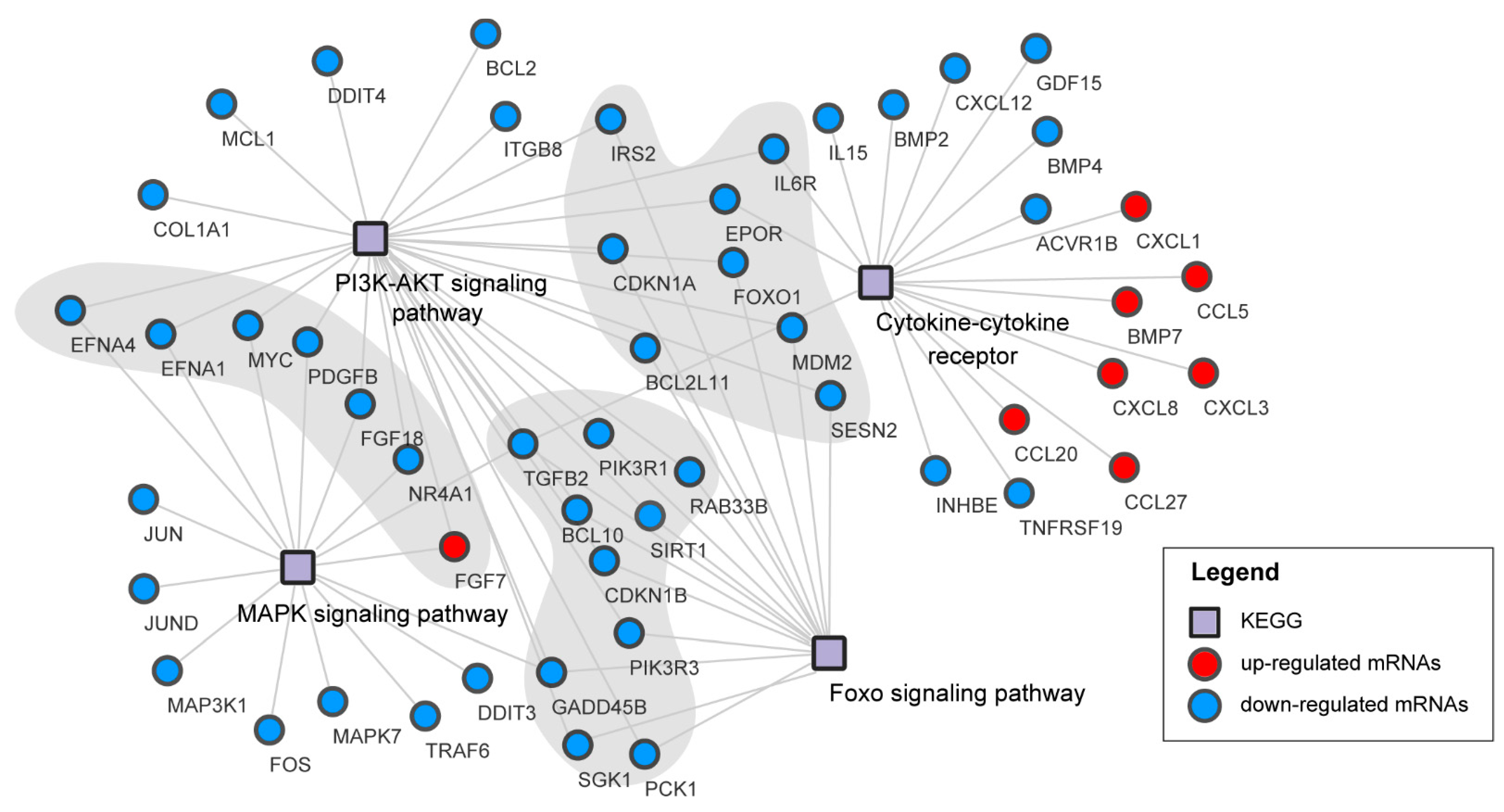 Viruses 13 00674 g007 Viruses 13 00674 g007