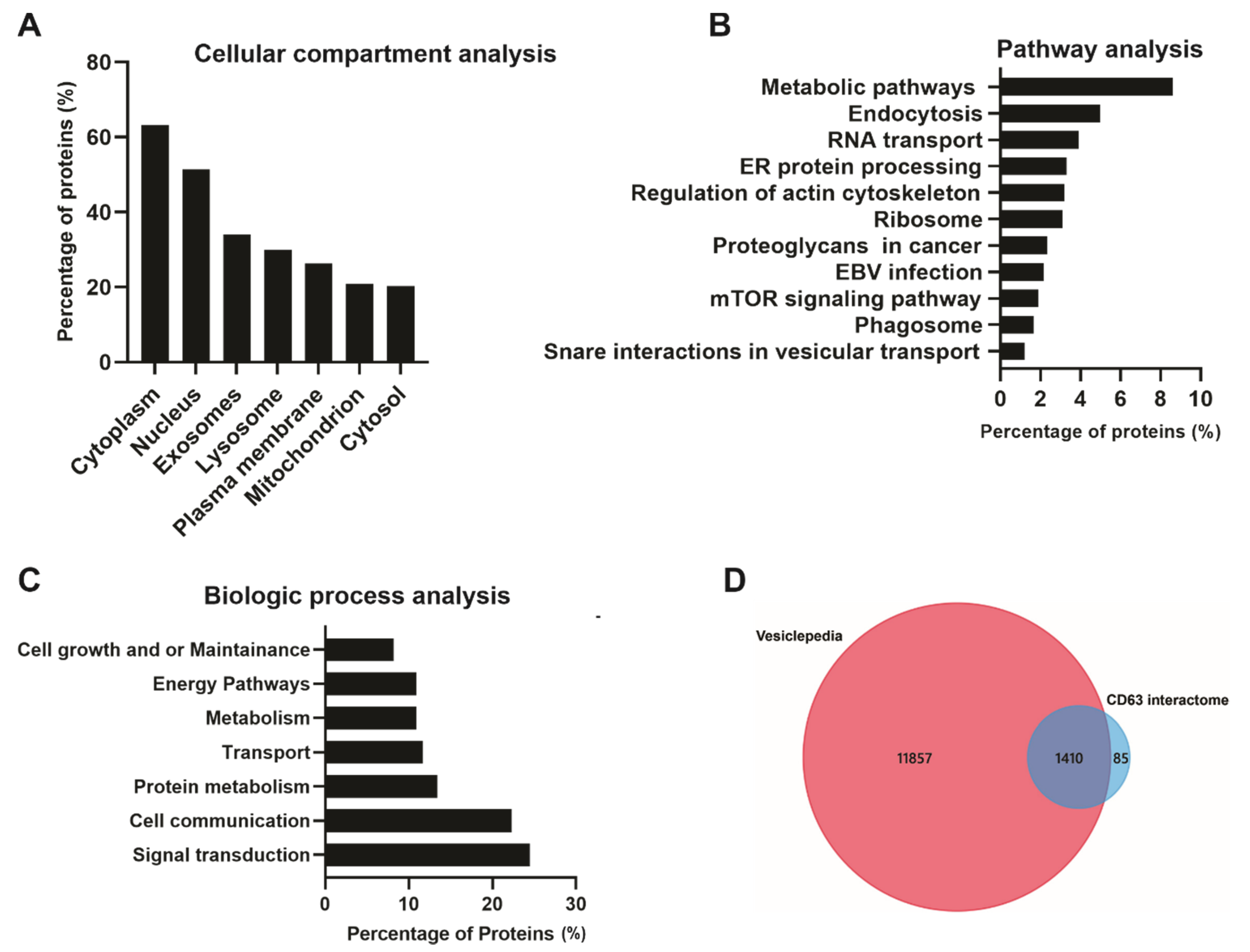 Viruses 13 00675 g004 Viruses 13 00675 g004